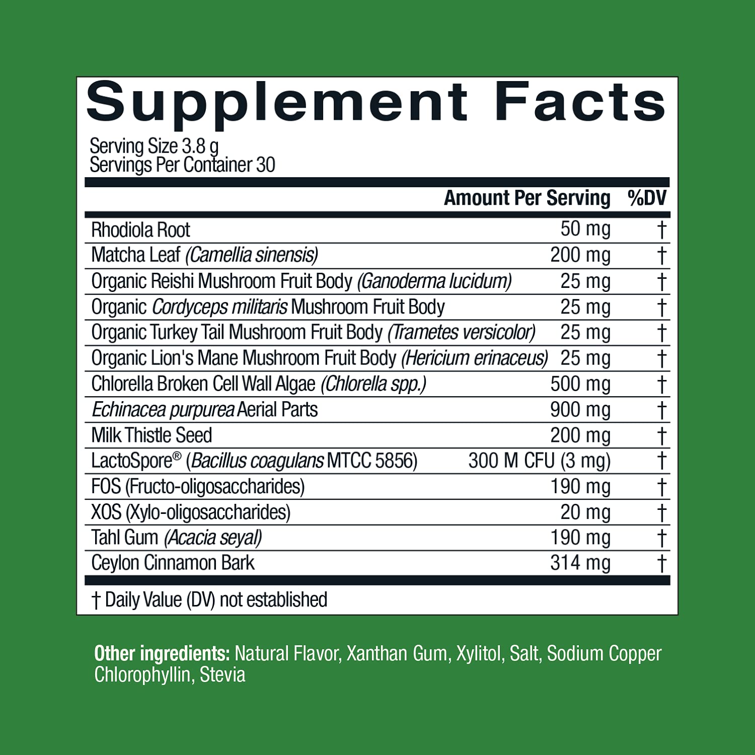 Live Conscious Beyond Greens Concentrated Superfood Powder - Matcha Flavor w/Chlorella, Echinacea, Probiotics for Immune Support & Energy - 30 Servings (2-Pack) Live ConsciousAu supplements