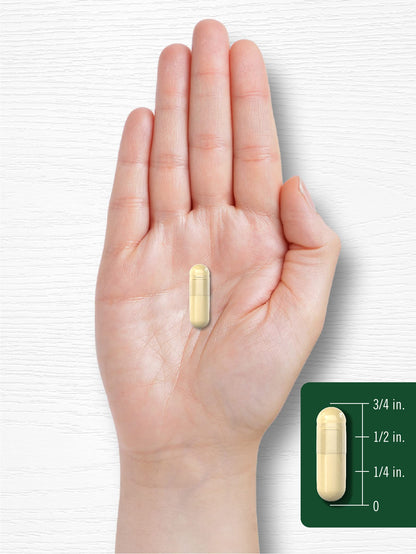Carlyle Green Coffee Bean Extract | 8000 mg | 300 Capsules | Non-GMO and Gluten Free CarlyleUS supplements