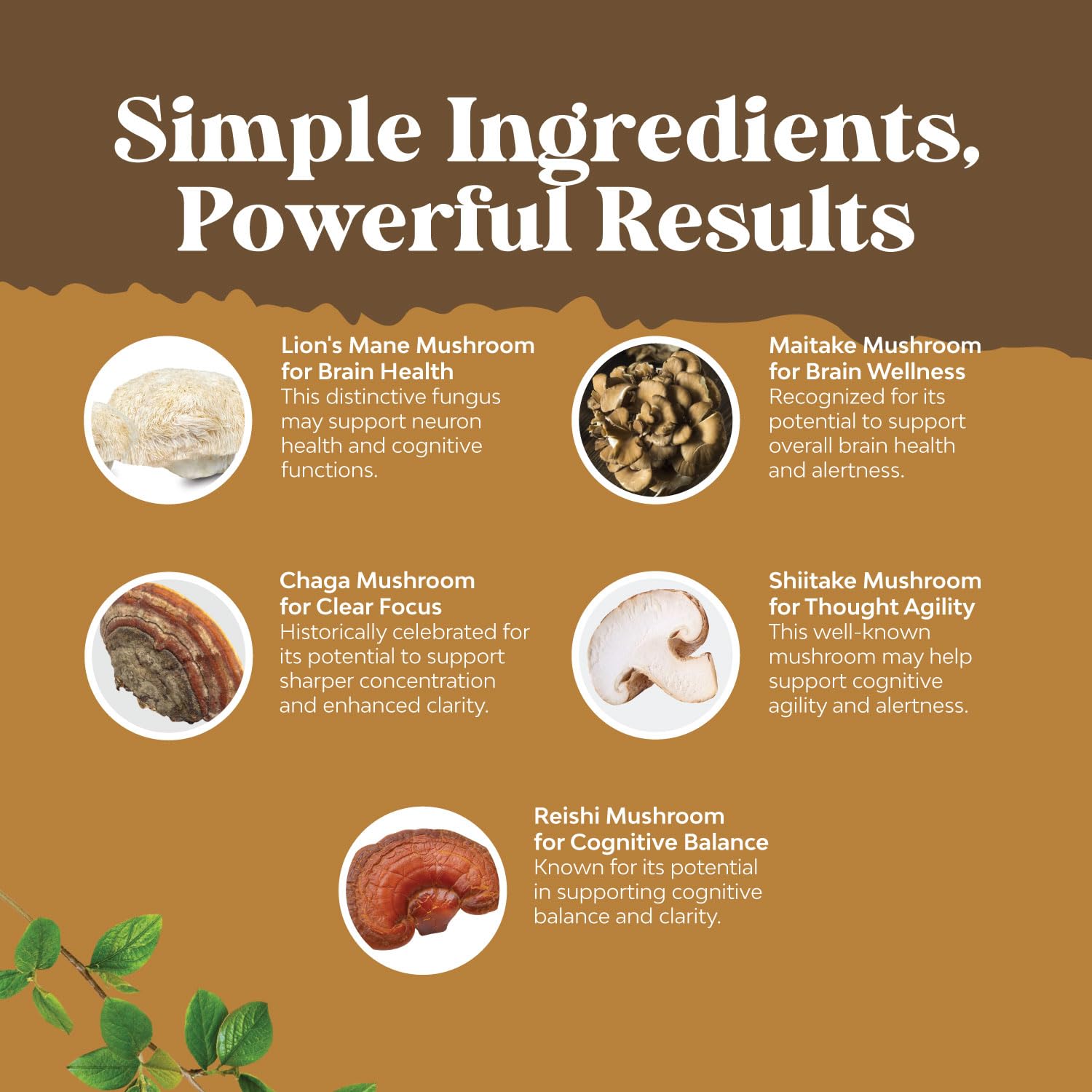 Advanced Lion's Mane Mushroom Supplement - Lions Mane Supplement Capsules with Reishi Chaga Maitake & Shiitake for Brain Health Memory Support & Focus - Nootropic for Mental Clarity - 120 Count Natures CraftAu supplements