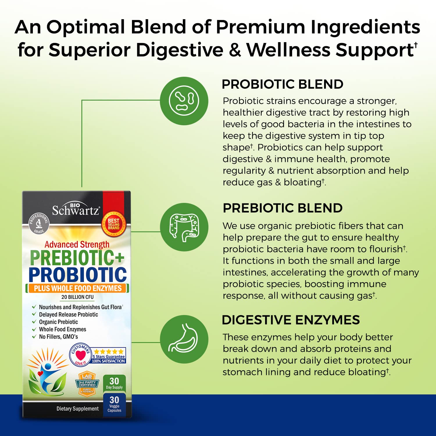 Probiotic & Prebiotic Digestive Health Capsules - 30ct, Gluten & Dairy Free, Non-GMO BioSchwartzUS supplements