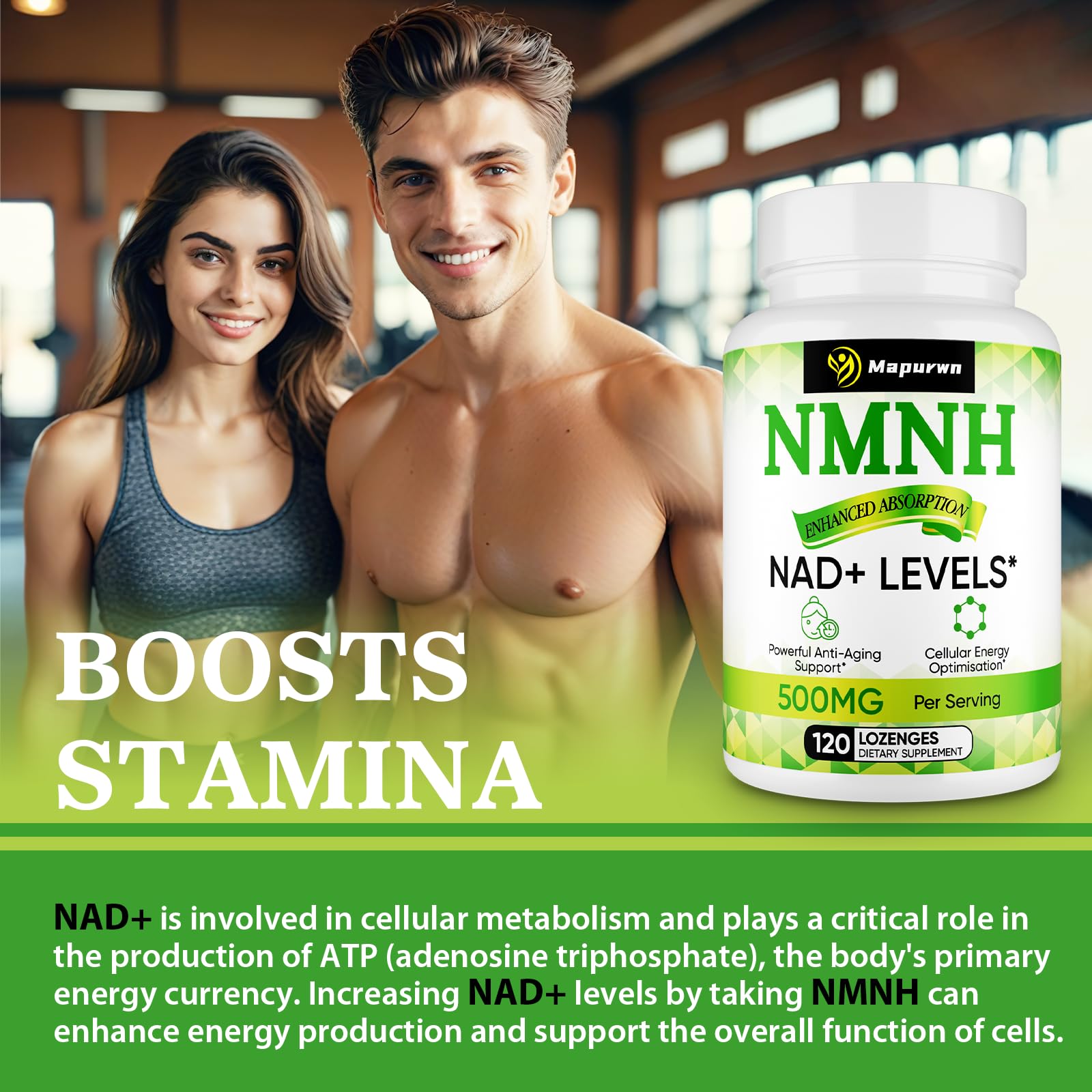 Mapurwn NMNH (Dihydronicotinamide Mononucleotide), NMN Supplement, 500mg per Serving NAD Supplement to Boost NAD+ Levels As We Age for Women & Men, Anti-Aging, Energy, Focus, 120 Count MapurwnAu supplements