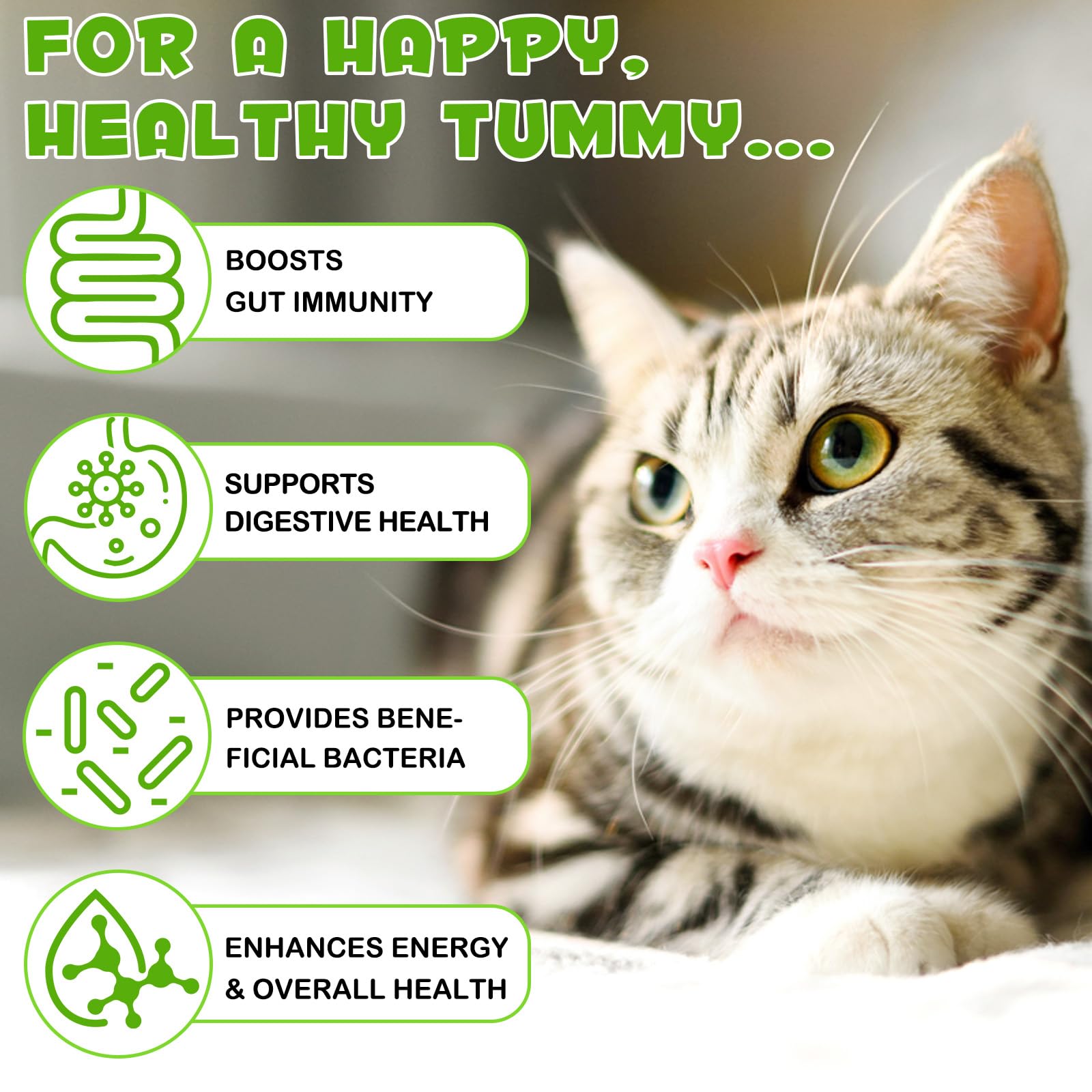 Liquid Cat Probiotic, Natural 3 in 1 Probiotic for Cats, Cat Digestive Support,Gut Health Support,Help with Diarrhea,Gas and Bloating, Cat Herbal Supplements- 60ml VOSIFSDIYAu supplements