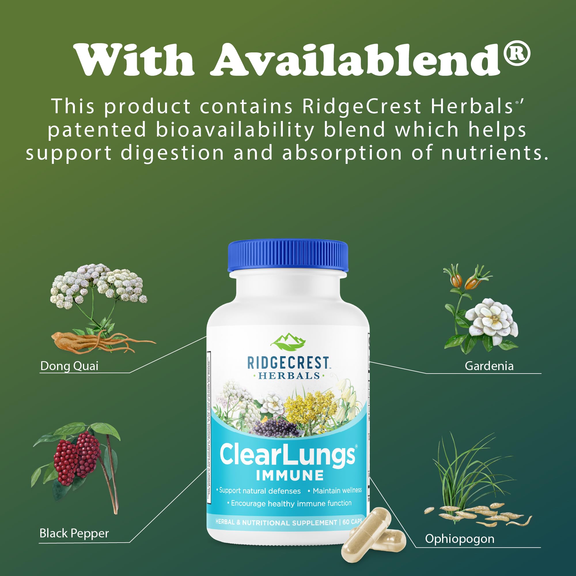 RidgeCrest Herbals ClearLungs Immune, Lung Support Supplement with Elderberry, Zinc, Vitamin C, Vitamin A, Olive Leaf, Mullein, Lung Wellness Formula for Respiratory Health (60 Vegan Caps, 30 Serv) RidgeCrest HerbalsAu supplements