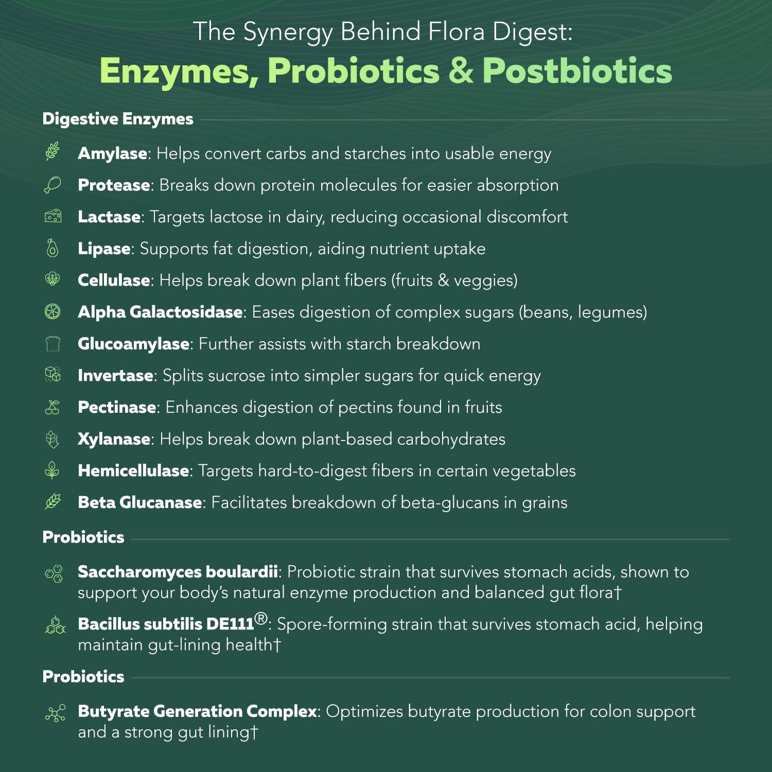 Flora Digest - 3-in-1 Max Strength Digestive Enzymes + Gut Surviving Probiotics & ButyraGen® Postbiotic for Optimal Digestion, Bloating Relief, Regularity, Gut Lining & Colon Support - (60 Capsules) Triquetra HealthAu supplements
