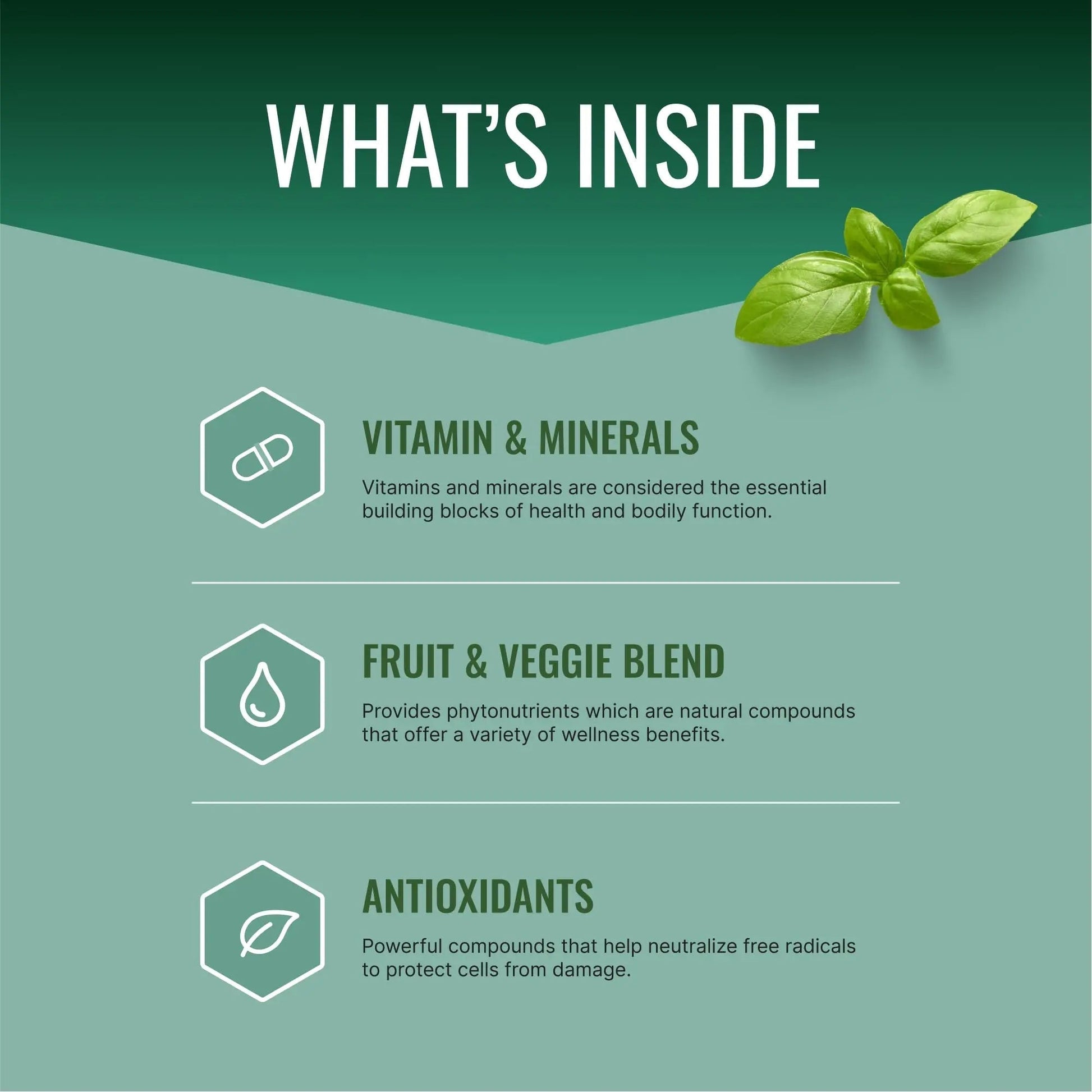 Approved Science Multi-Vitamin - with Full-Spectrum B-Vitamins, Green Tea, Lutein, Lycopene, Zeaxanthin, BioPerine Approved ScienceAu supplements
