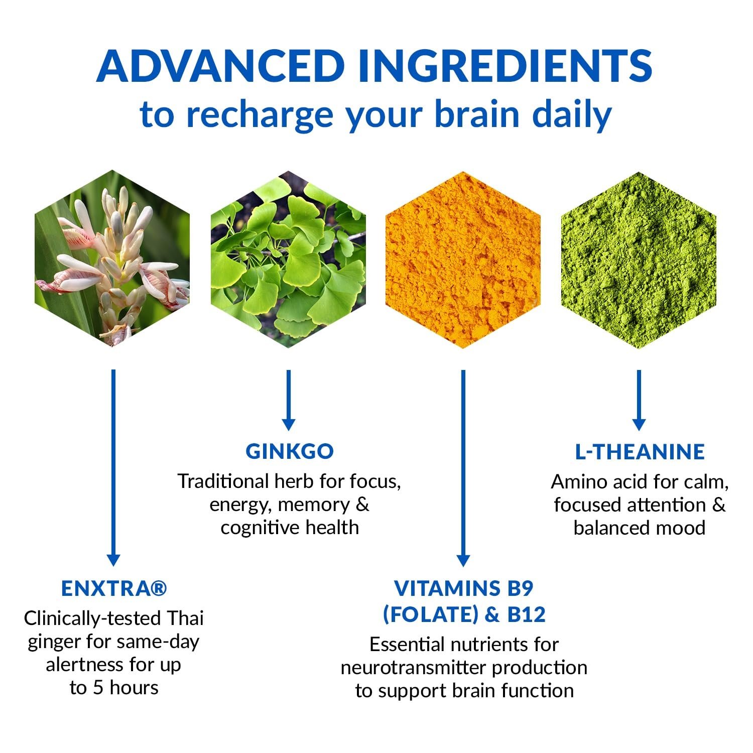 BioTrust Brain Bright – Daily Nootropic Boost for Focus, Concentration, Mental Clarity – Caffeine Free Nootropics Brain Support Supplement – Thai Ginger, Ginkgo, Folate, L-Theanine – 30 Servings BioTrustAu supplements