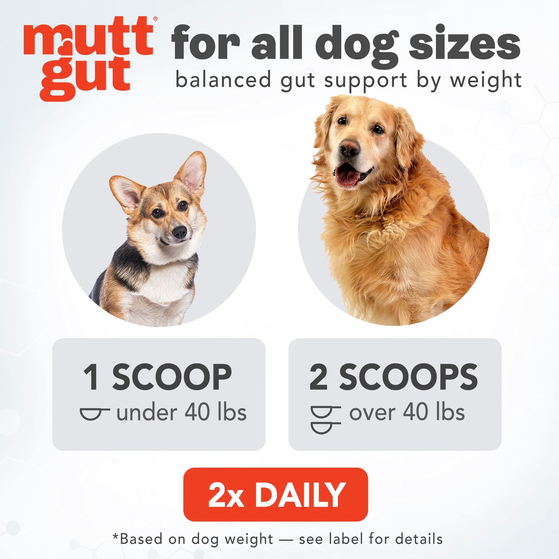 All-Natural 3-in-1 Dog Probiotic, Prebiotic, and Postbiotic Supplement Powder - Probiotics for Dogs with 135 Billion CFUs, Anti Diarrhea, Digestive Enzymes & Antioxidants (60g) MUTTGUTAu supplements
