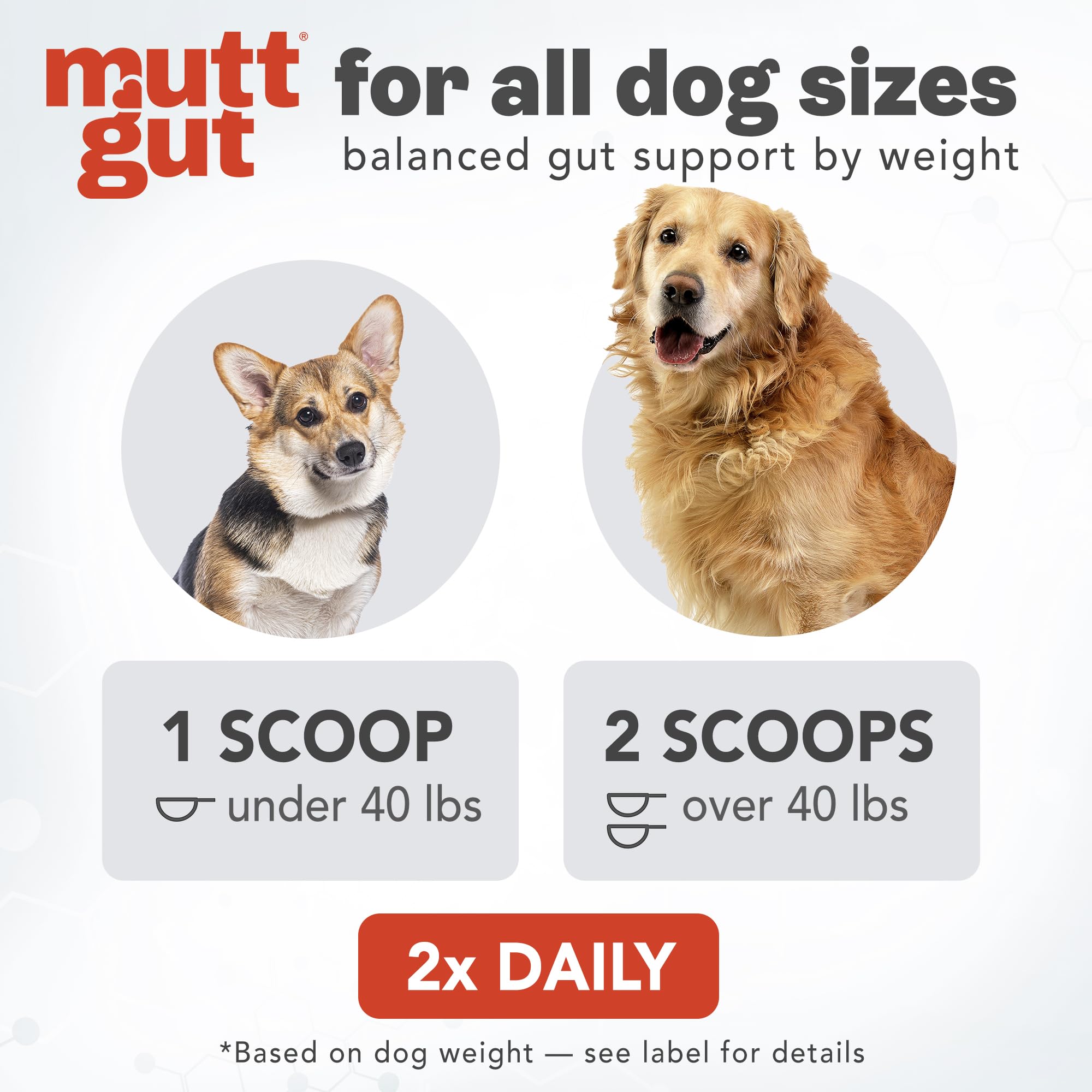 All-Natural 3-in-1 Dog Probiotic, Prebiotic, and Postbiotic Supplement Powder - Probiotics for Dogs with 135 Billion CFUs, Anti Diarrhea, Digestive Enzymes & Antioxidants (60g) MUTTGUTAu supplements