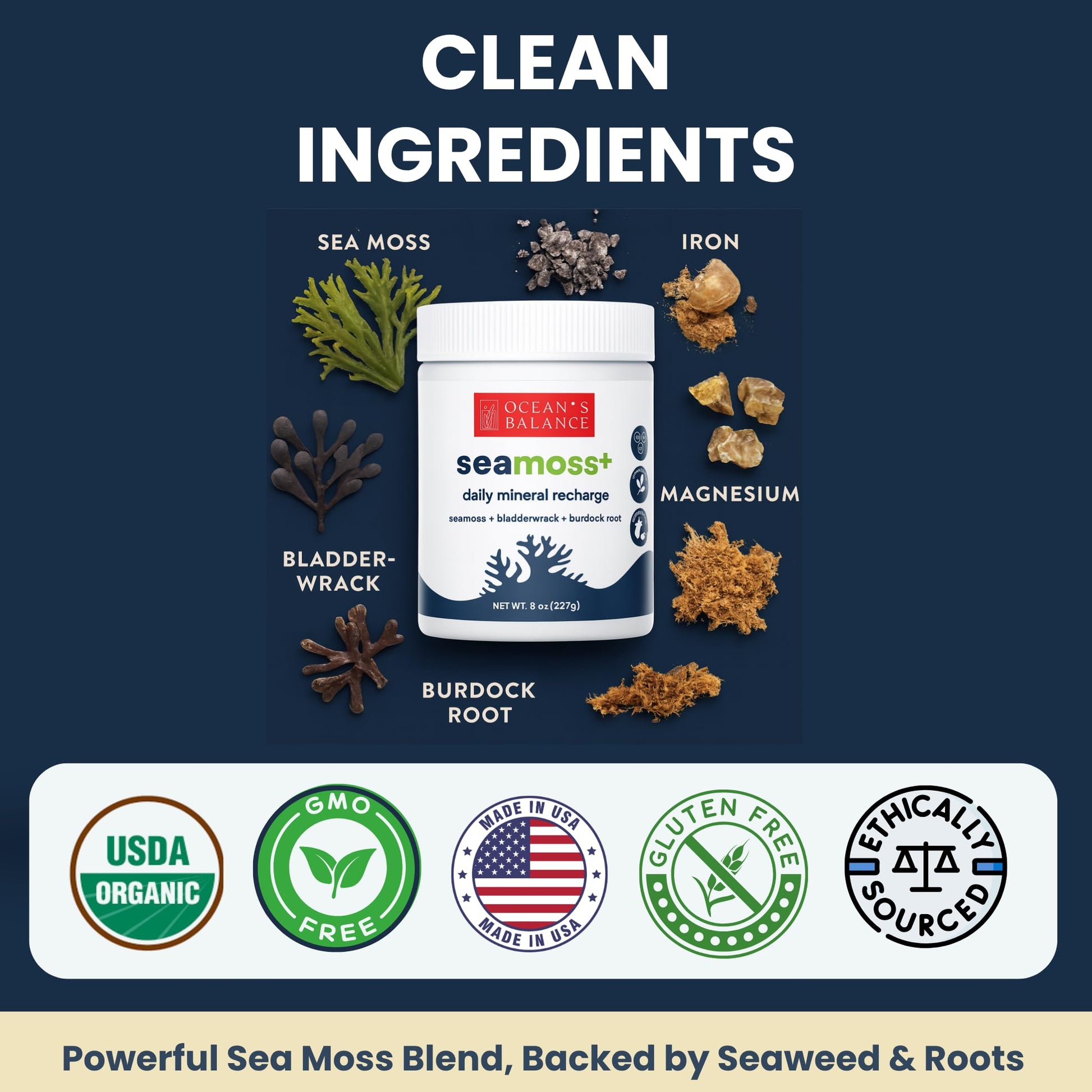 Ocean's Balance Seacleanse+ Daily Detox Cleanse Powder | Gut Health & Immune Support | Supports Gentle Cleanse & Vitality | 8oz Ocean's Balance Clean Taste of MaineAu supplements