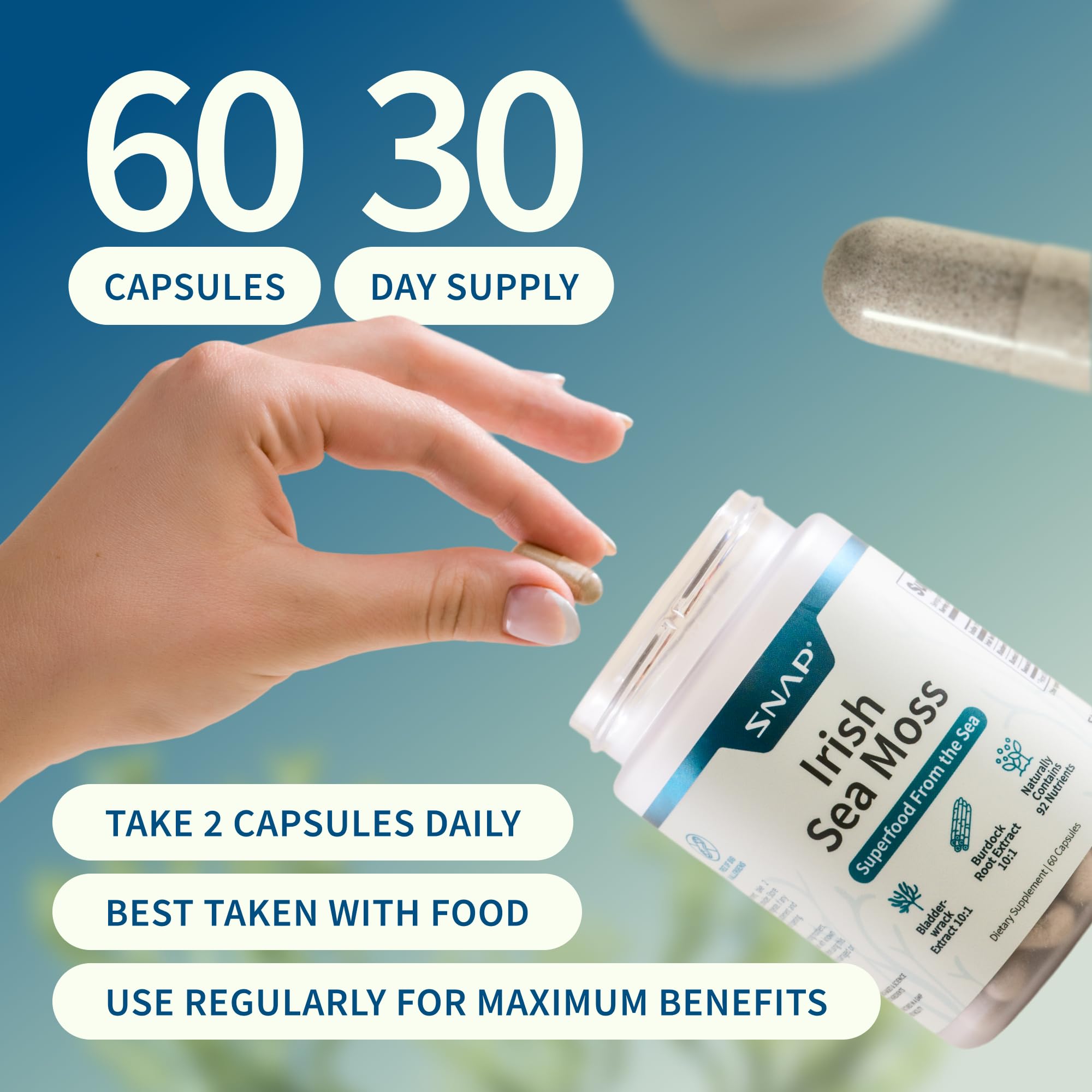 Snap Supplements Irish Sea Moss with Bladderwrack, Burdock Root & Iodine – Natural Sea Moss Supplement to Support Gut Health, Energy & Healthy-Looking Skin, 60 Vegan Capsules (1 Month Supply) Snap SupplementsAu supplements