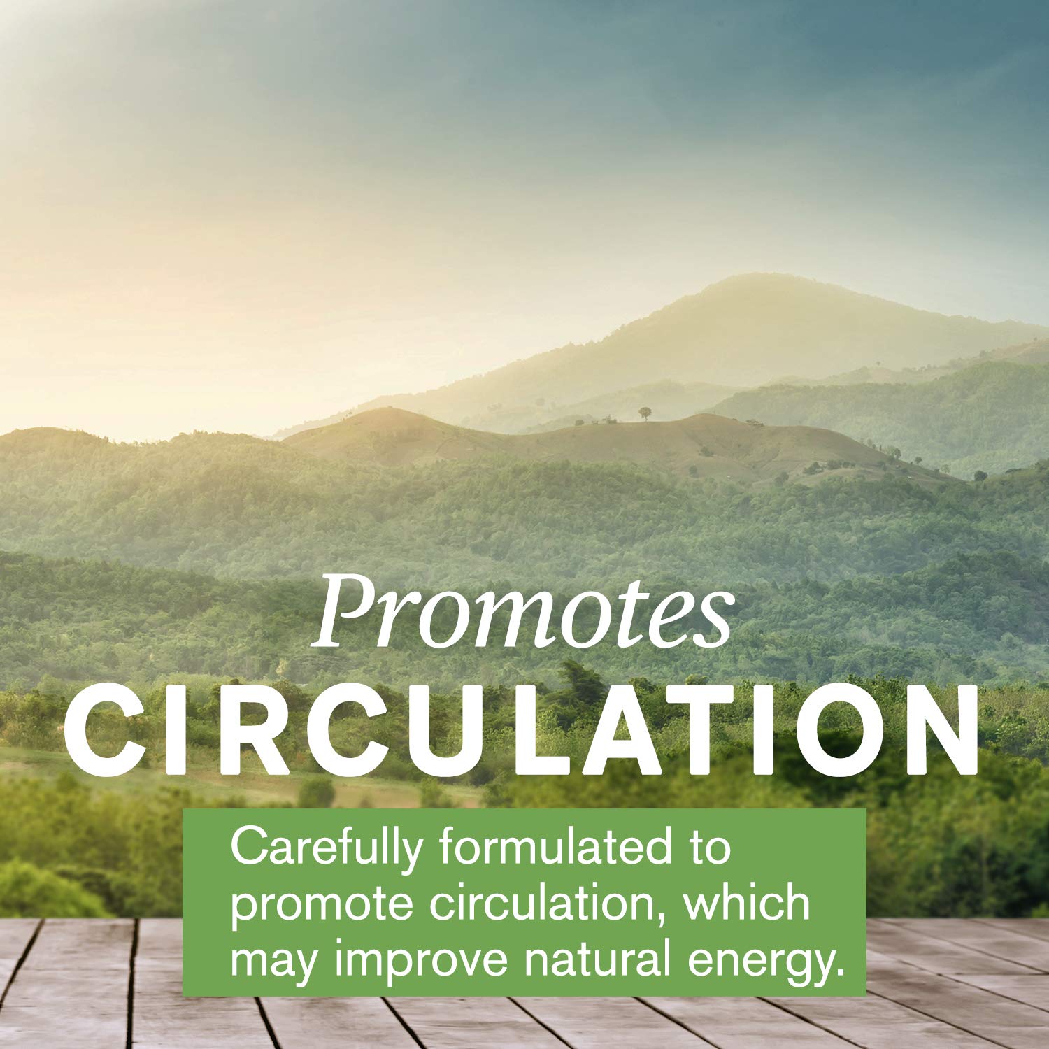 Nature's Sunshine Mind-Max 90 Capsules Nature's SunshineAu supplements