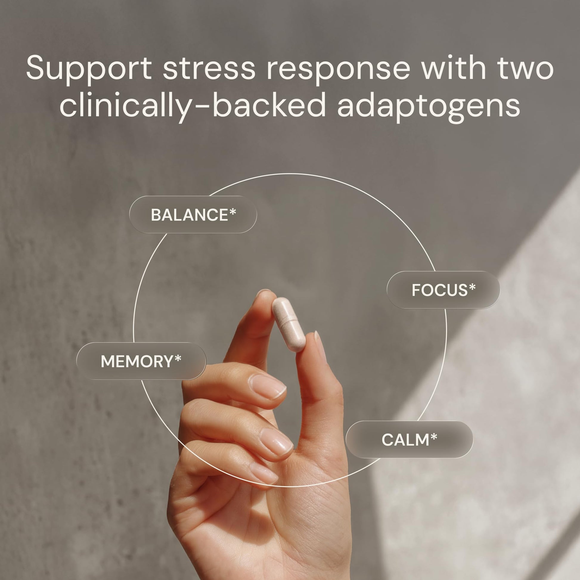Blueprint Bryan Johnson Ashwagandha & Rhodiola Supplement – 120mg Ashwagandha + Rhodiola Root – Daily Adaptogen Capsules for Stress Support, Mood Balance, Energy & Focus – 30 Vegan Capsules Blueprint Bryan JohnsonAu supplements