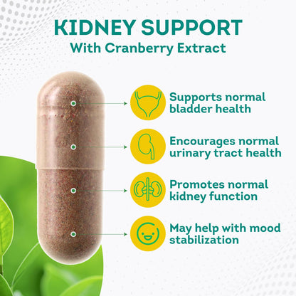 PurePremium Kidney Support Supplement with Cranberry Extract - Kidney Cleanse, Detox PurePremium SupplementsUS supplements