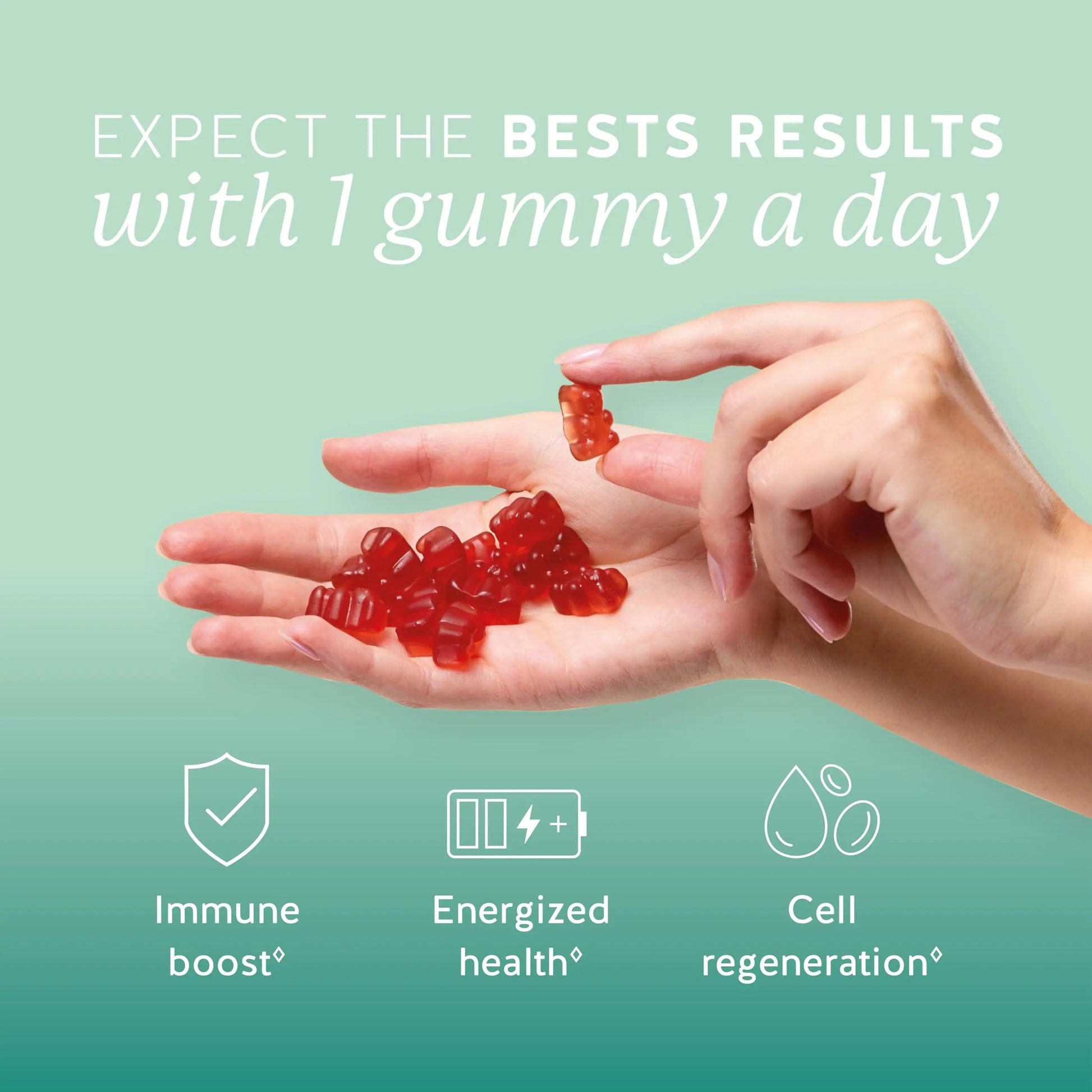 Bears with Benefits Immune Support Gummies – Vitamin C, D, B6 & B12 – Daily Immune Boost – Vegan, Naturally Flavored (60 Gummies) Bears with BenefitsAu supplements