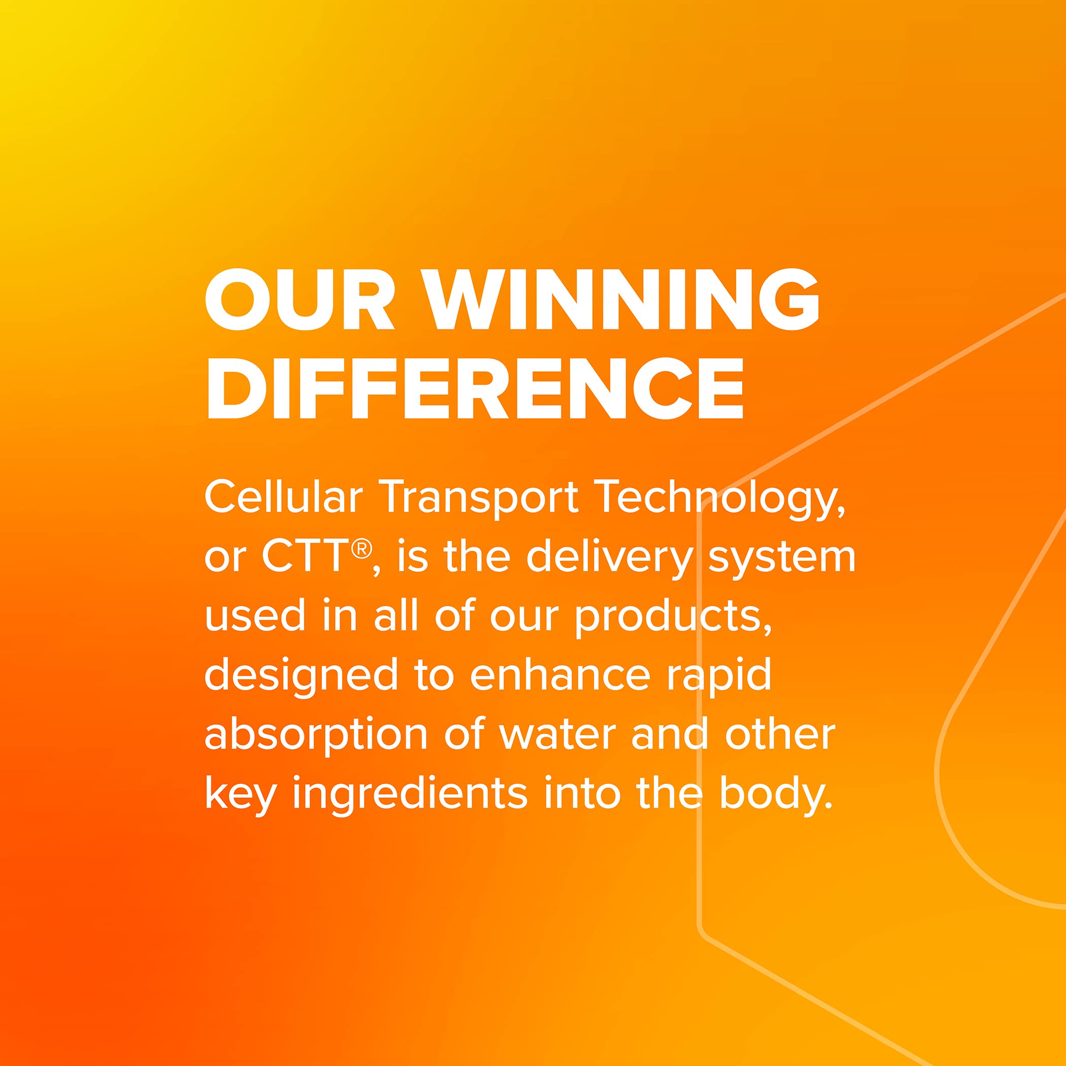 Liquid I.V. Hydration Multiplier + Immune Support -Wild Berry Blend - Hydration Powder Liquid I.V.US supplements