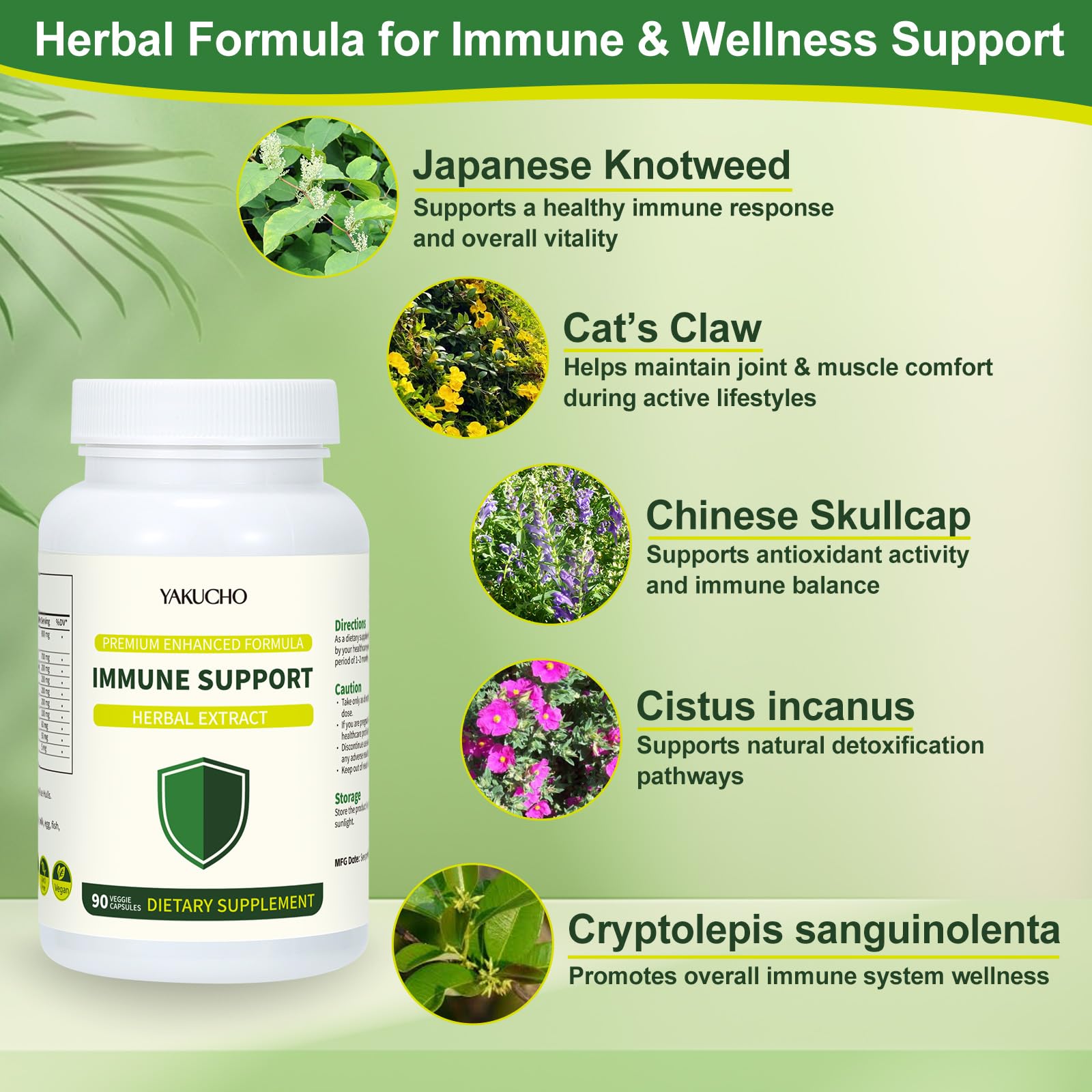 Herbal Immune Support Supplement, Vegan Capsules with Japanese Knotweed, Cat’s Claw, Skullcap & Sanguinolenta, Supports Immune Health & Overall Wellness, Gluten-Free YakuchoAu supplements