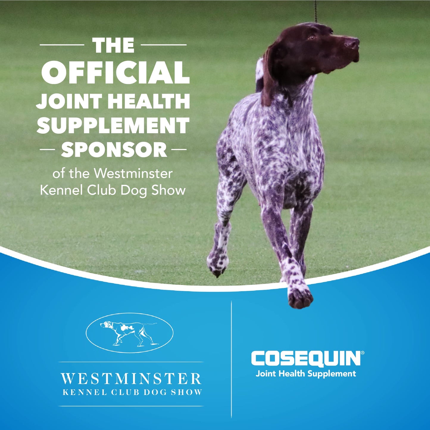Nutramax Laboratories Cosequin Maximum Strength Joint Health Supplement for Dogs Nutramax LaboratoriesUS supplements