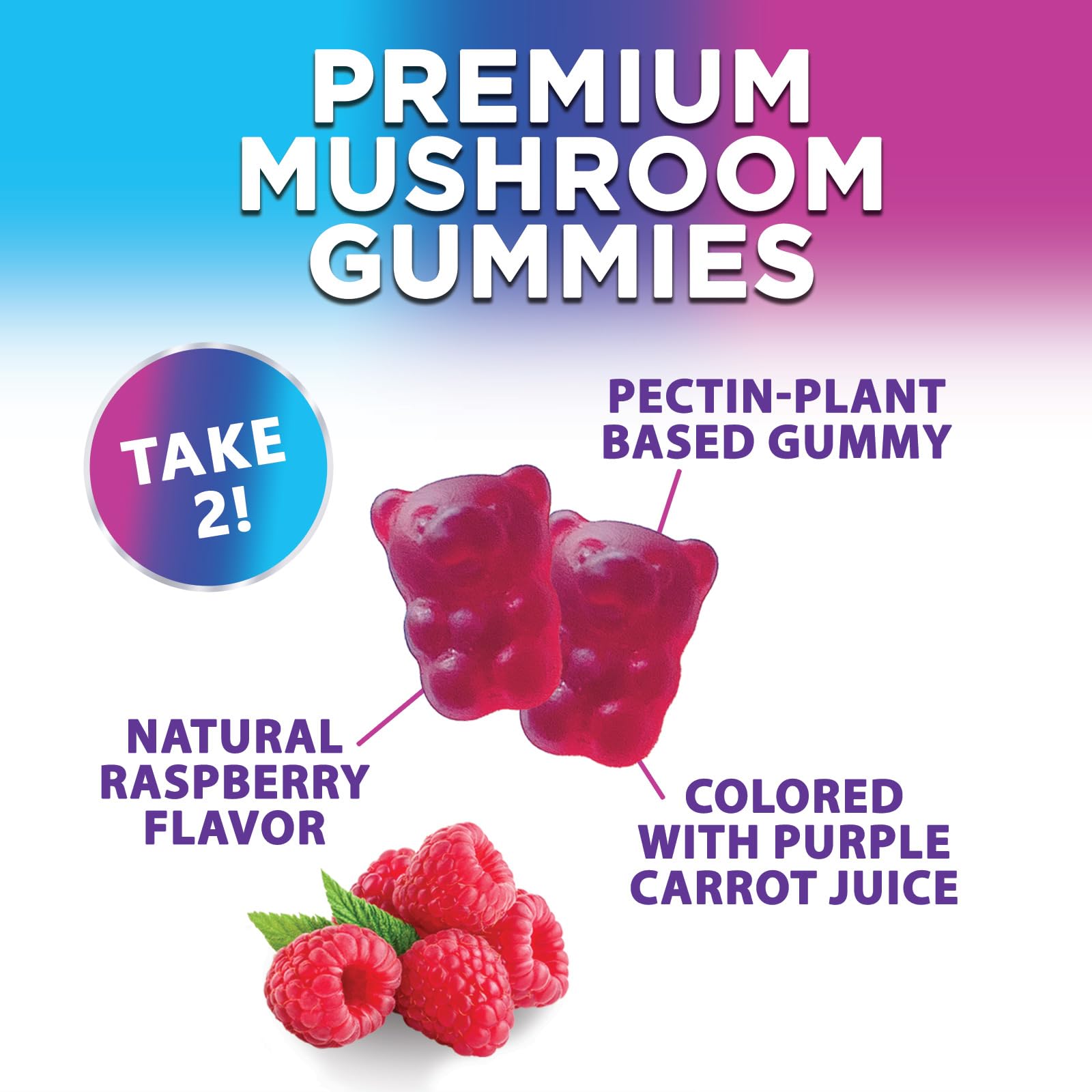 Mushroom Gummies Supplement 12 in 1 - High Grade Blend for Adults with Lions Mane, Reishi, Cordyceps, & Chaga Mushroom Complex Gummy, Memory & Immune Support & Nootropic Brain Supplements - 60 Gummies Nature's NutritionAu supplements