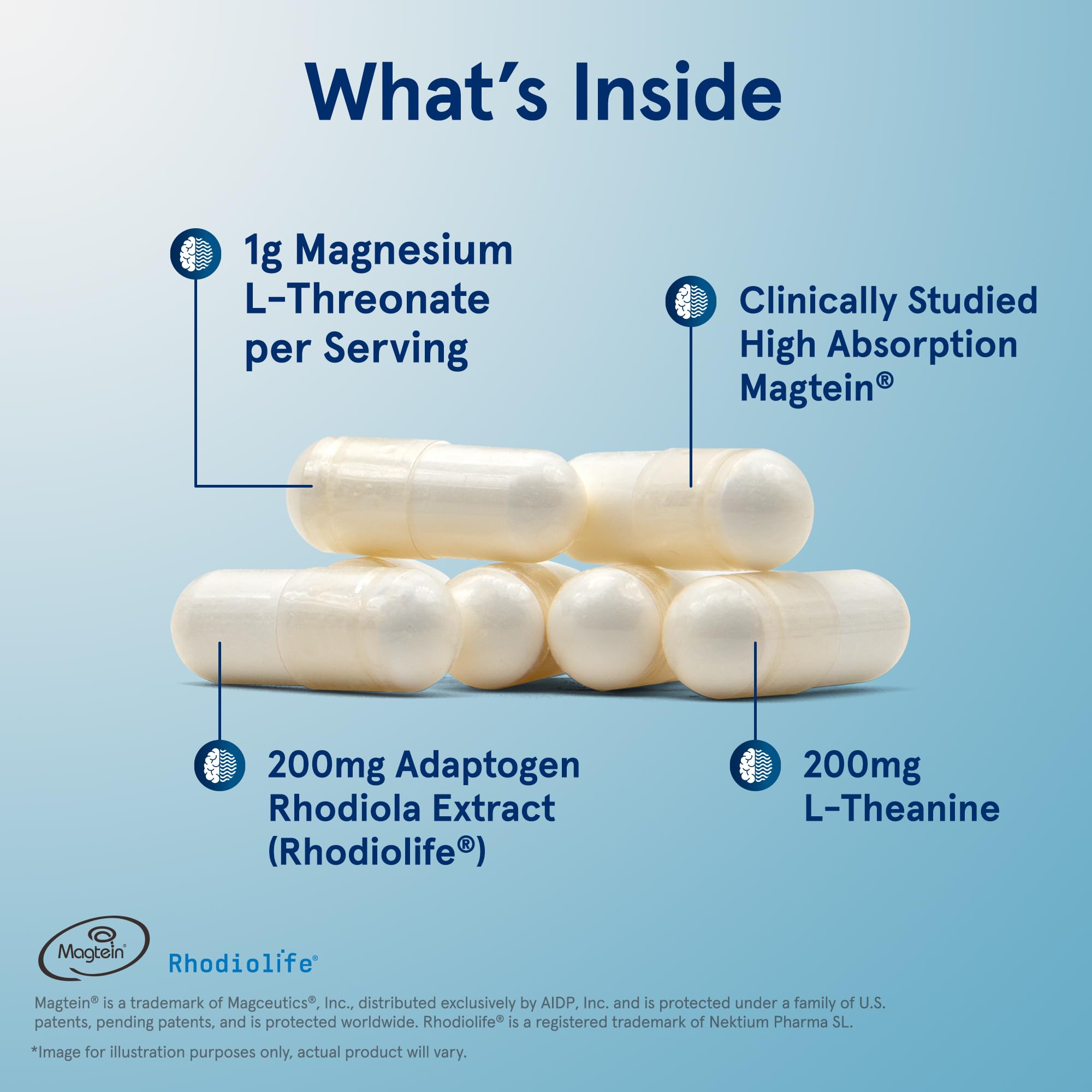 Jarrow Formulas Magnesium L-Threonate, MagMind Stress Resistance with L-Theanine and Rhodiolife, High Absorption Magnesium, Stress Relief and Mood Support, 60 Veggie Capsules, Up to a 30 Day Supply Jarrow FormulasAu supplements