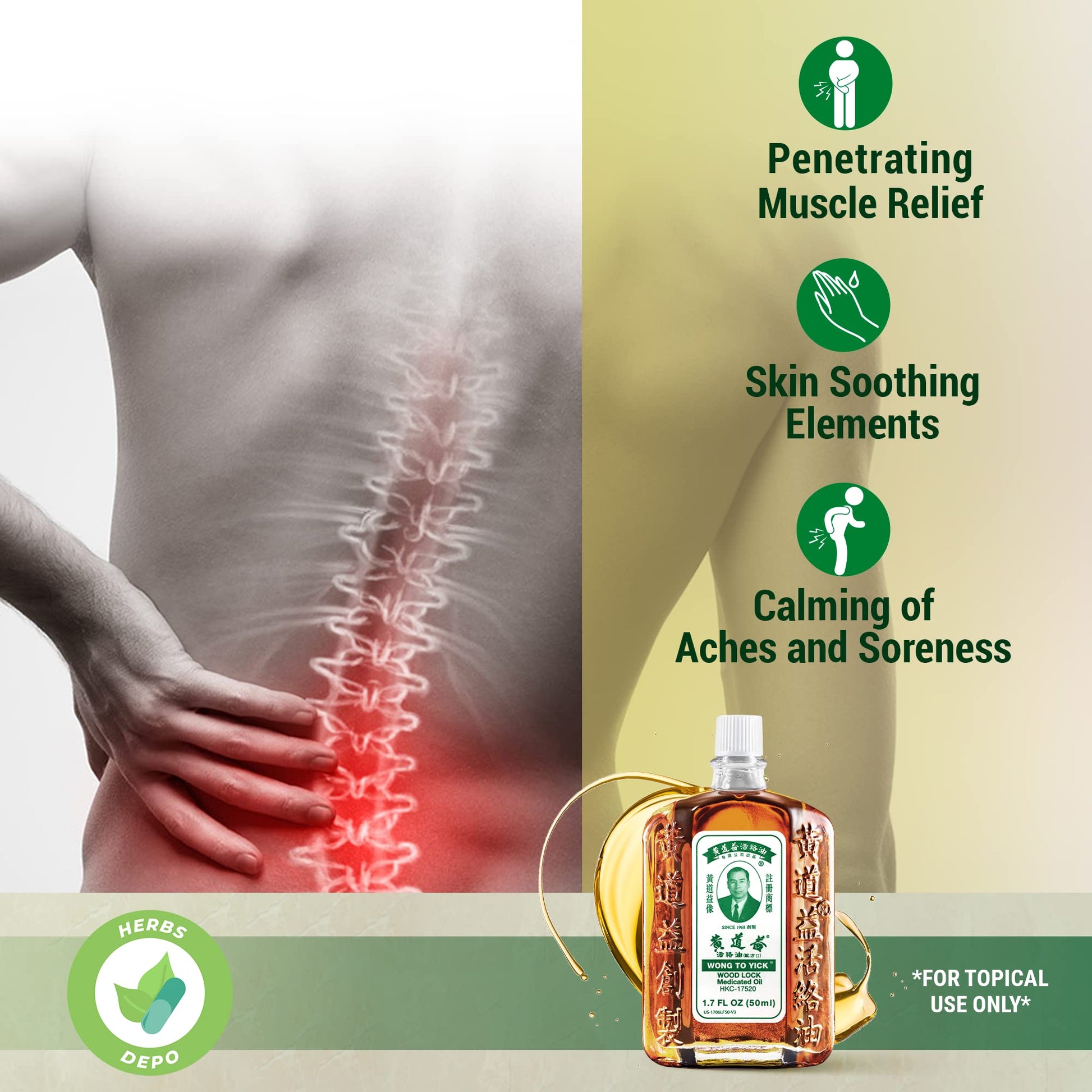 12 Pack of Wong to Yick - Wood Lock Medicated Oil - Herbal Pain Relief for Muscular Aches, Sprains, Shoulder and Back Pain - for Sports Recovery, Soreness - 1.7 Fl Oz - 50 ML - 100% Authentic HerbsDepoAu supplements