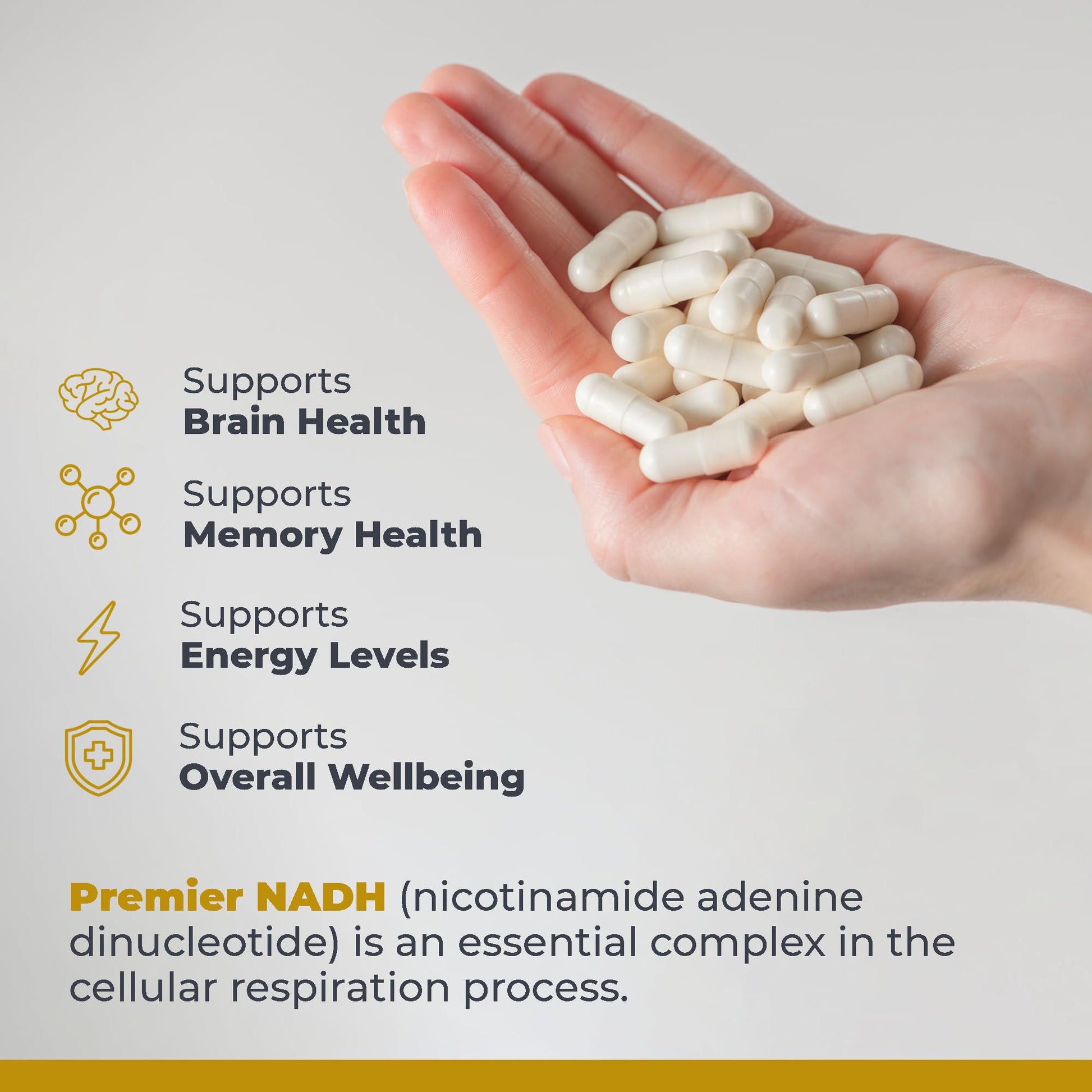 Premier Research Labs NADH - NADH Supplement, NAD Supplement for Men & Women, Nicotinamide Adenine Dinucleotide, Cell Regenerator, Respiratory Support - 30 Vegetarian Capsules Premier Research LabsAu supplements
