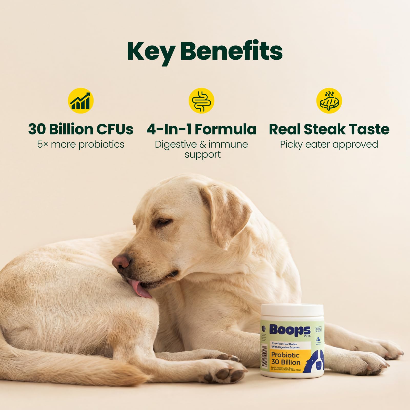 Boops Pets Probiotics for Dogs – 30 Billion CFU with Pre, Postbiotics & Digestive Enzymes – Supports Gut Health, Immunity, Loose Stools & Allergies – Filet Mignon Flavor – Vet Formulated – 60 Chews Boops PetsAu supplements