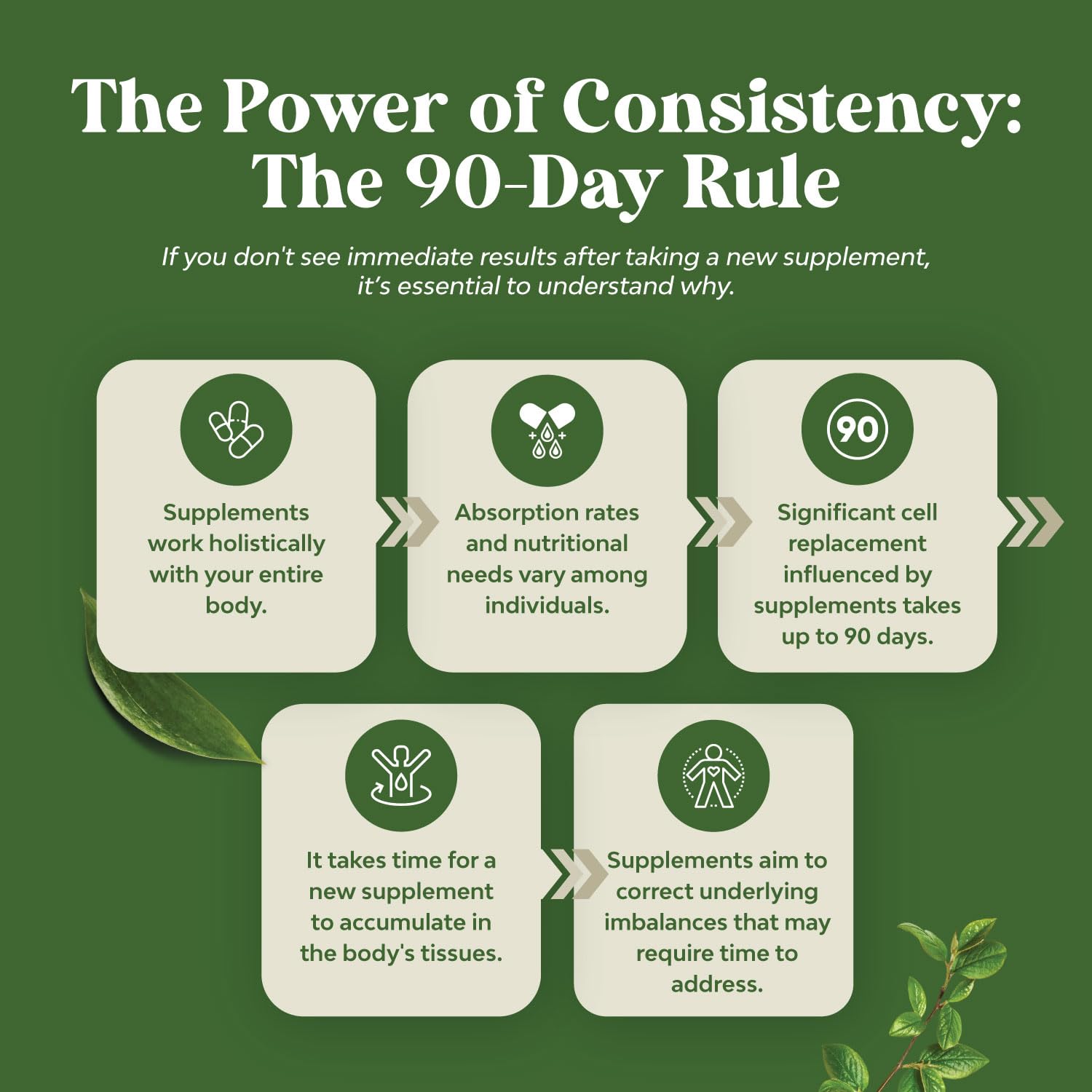 Pure Green Coffee Bean Extract - Super Energizing Green Coffee Extract with 50% Chlorogenic Natures CraftAu supplements