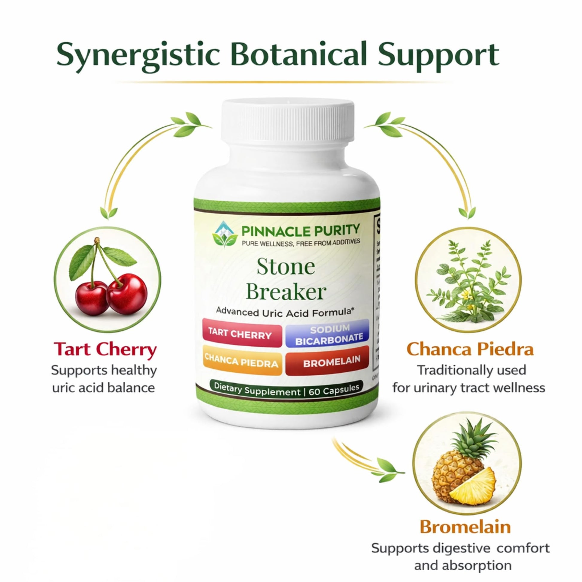 Pinnacle Purity Stone Breaker 60 Capsules, With Chanca Piedra, Tart Cherry & Bromelain – Supports Kidney & Liver Balance, Promotes Gentle Stone Management, Enhances Natural Cleansing Pathways, Non-GMO Pinnacle PurityAu supplements