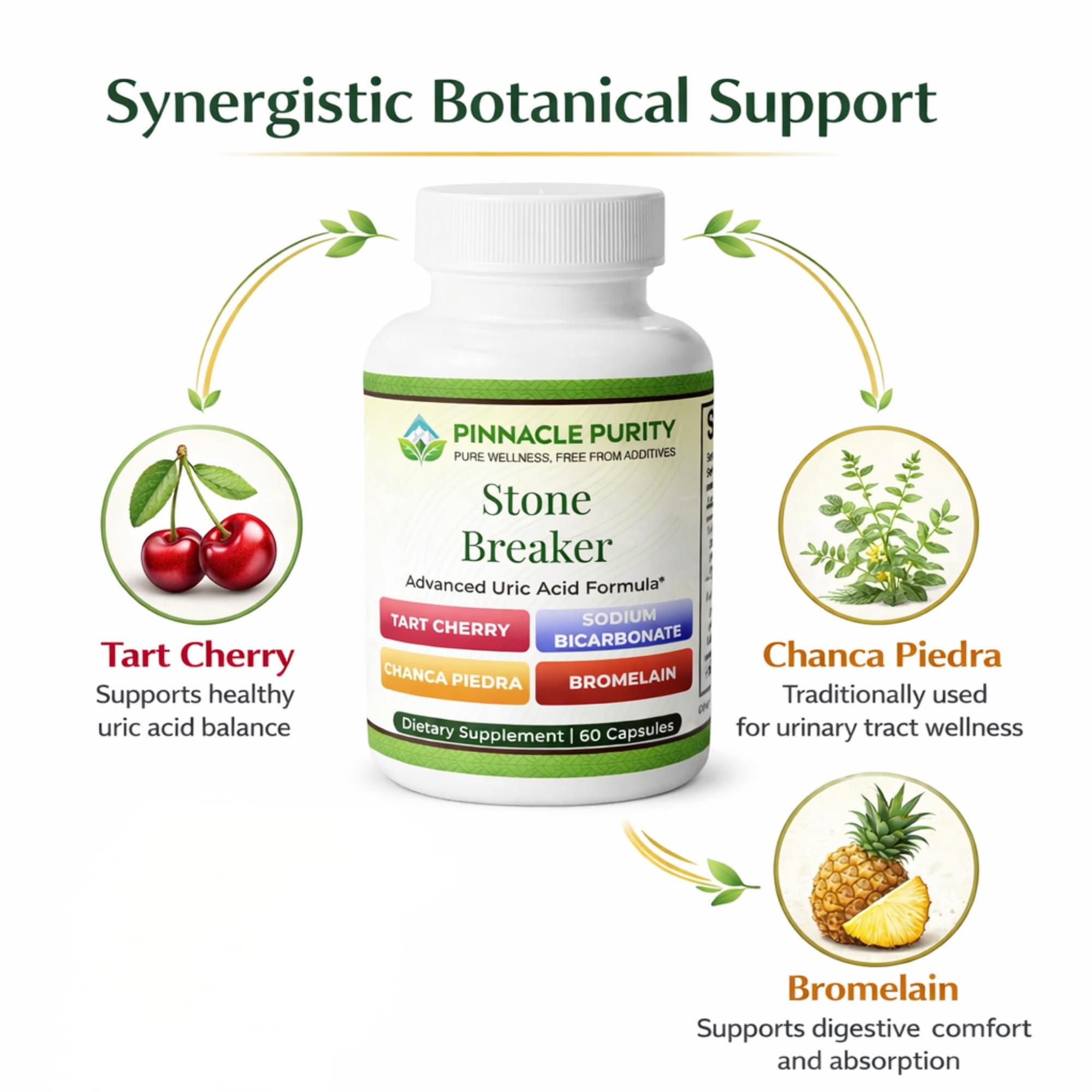 Pinnacle Purity Stone Breaker 60 Capsules, With Chanca Piedra, Tart Cherry & Bromelain – Supports Kidney & Liver Balance, Promotes Gentle Stone Management, Enhances Natural Cleansing Pathways, Non-GMO Pinnacle PurityAu supplements