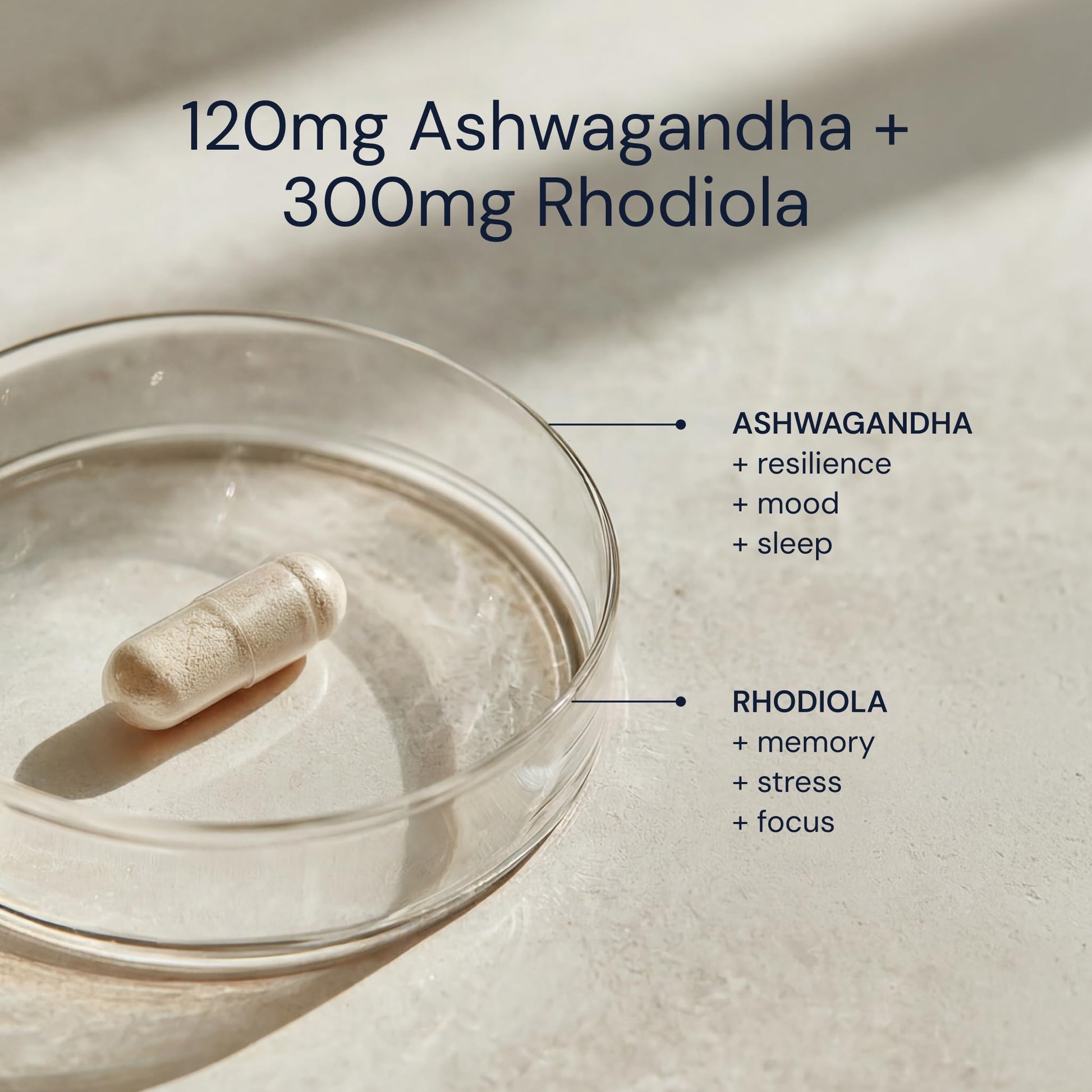 Blueprint Bryan Johnson Ashwagandha & Rhodiola Supplement – 120mg Ashwagandha + Rhodiola Root – Daily Adaptogen Capsules for Stress Support, Mood Balance, Energy & Focus – 30 Vegan Capsules Blueprint Bryan JohnsonAu supplements