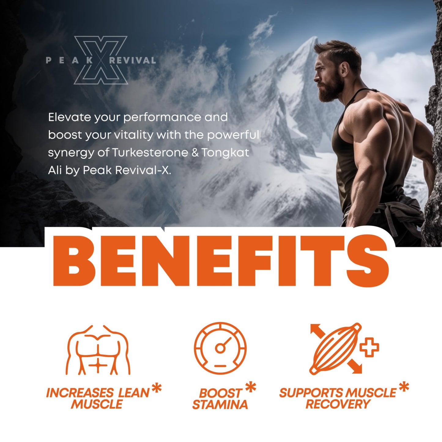 Peak Revival-X Turkesterone & Tongkat Ali 1000mg Supplement - 500mg Peak Revival-XUS supplements