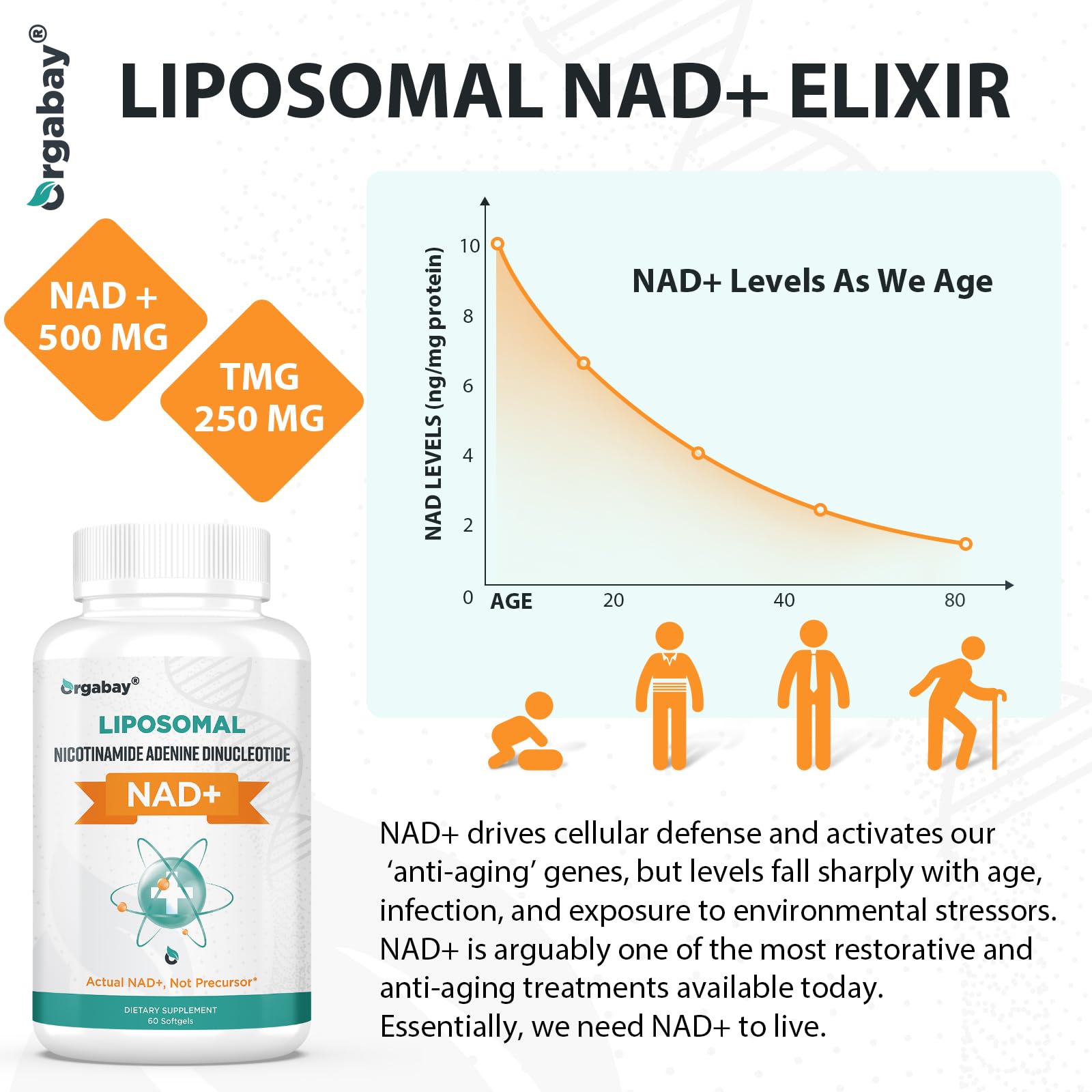 Orgabay Liposomal NAD+ Supplement 500 mg, High Absorption, Boost NAD+ with TMG 250 mg, Actual NAD Plus More Efficient Than Nicotinamide Riboside, Support Cellular Energy, Healthy Aging | 60 Softgels OrgabayAu supplements