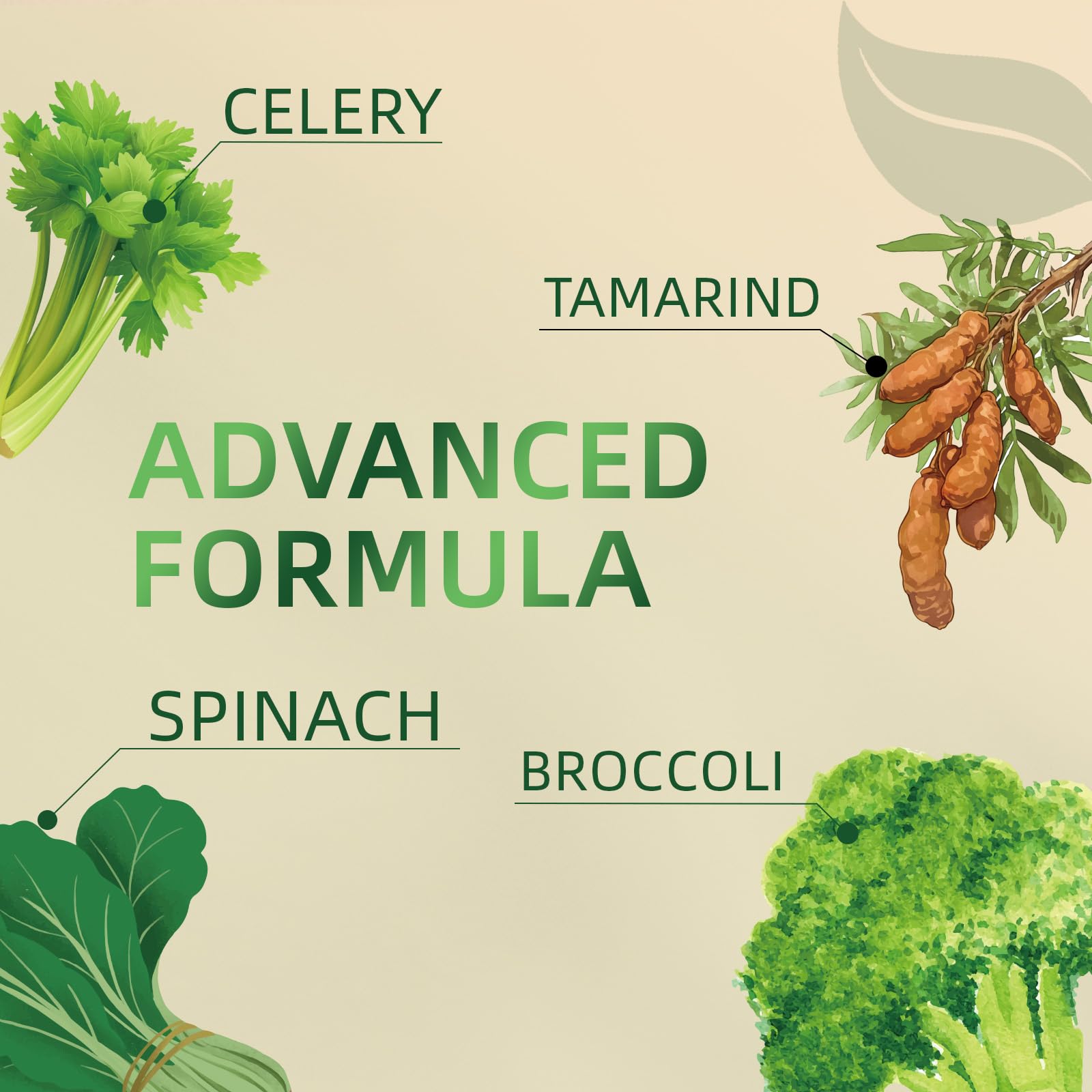 Greenshoots Super Food Gummies with Super Greens Blend, Vitamin A & C – Broccoli, Spinach, Moringa & Chlorella – Vegan, Sugar Free, Daily Nutrition Support, 60 Gummies GreenshootsAu supplements
