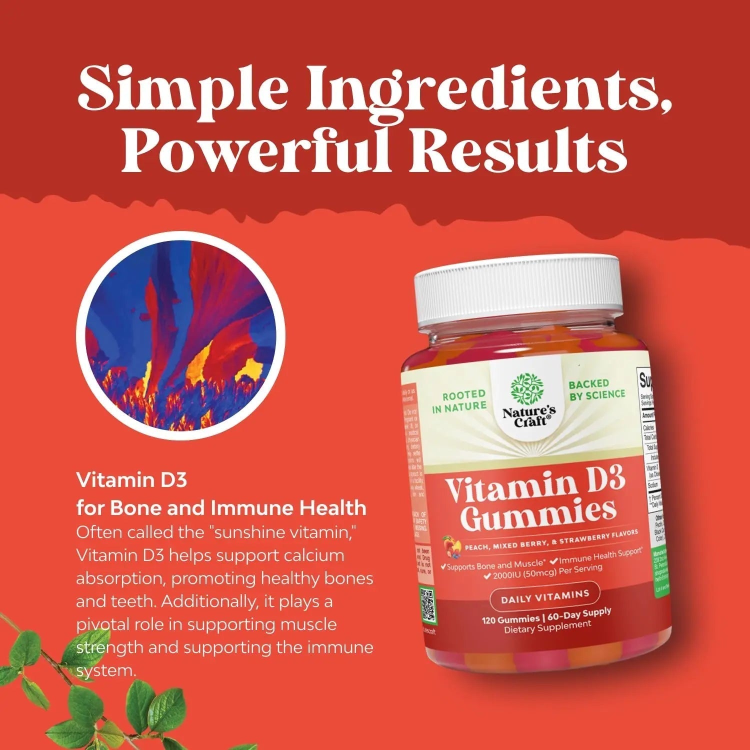 Bundle of Potent Daily Multivitamin Gummies - Wellness Blend of Vitamin D A C E B12 Zinc & Biotin for Energy & Immunity and Vitamin D3 Gummies Natures CraftAu supplements