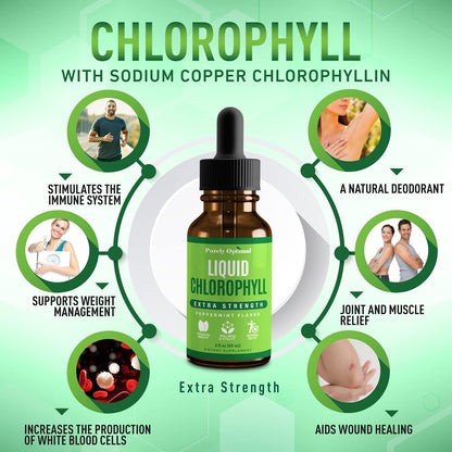 Premium Chlorophyll Liquid Drops - 100% Natural & Gluten Free Liquid Chlorophyll Purely OptimalUS supplements
