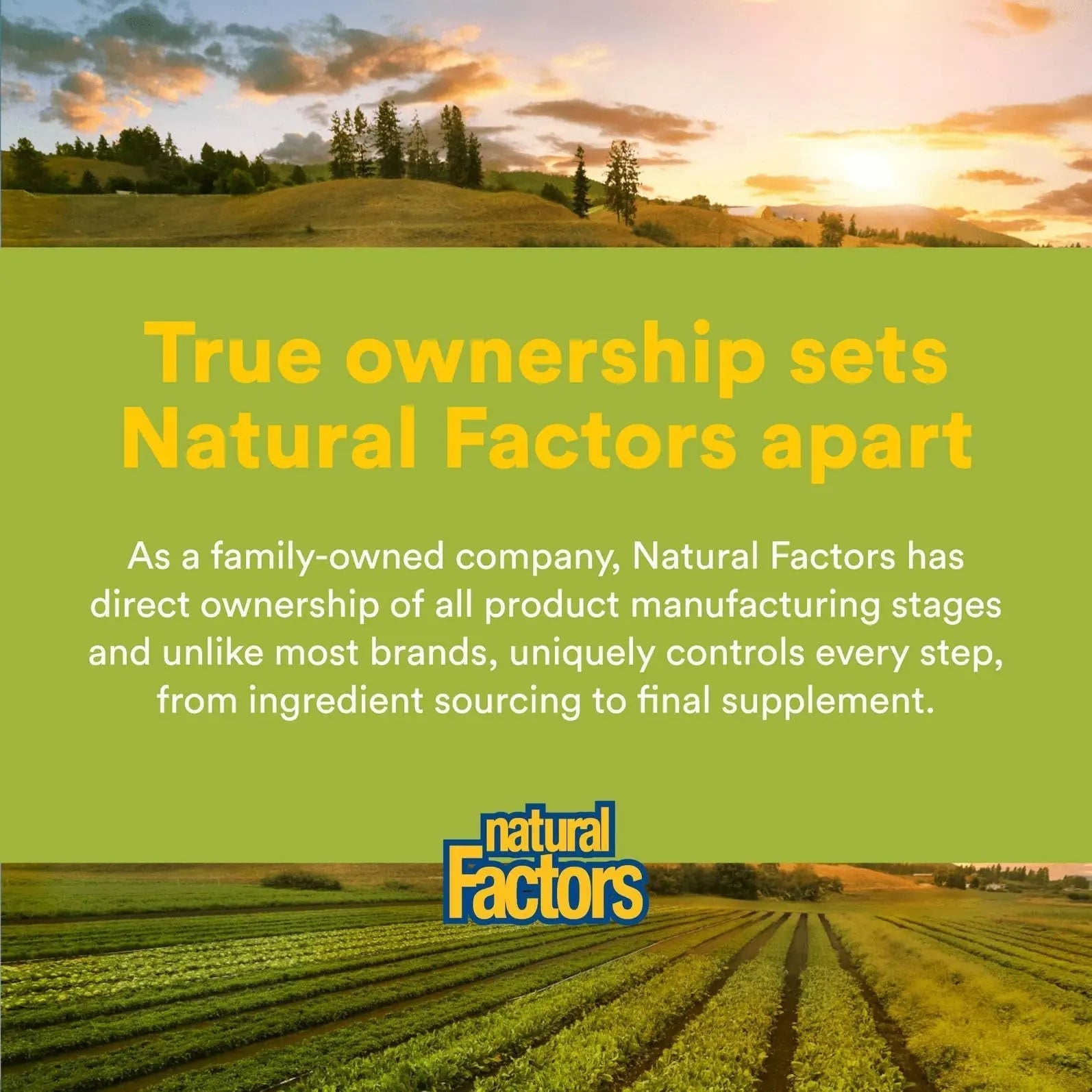 Natural Factors Whole Earth & Sea Men's Multivitamin s& Mineral, 1 Serving Contains Nutrition Equivalent to ½ lb of Veggies, 120 Tablets Natural FactorsAu supplements