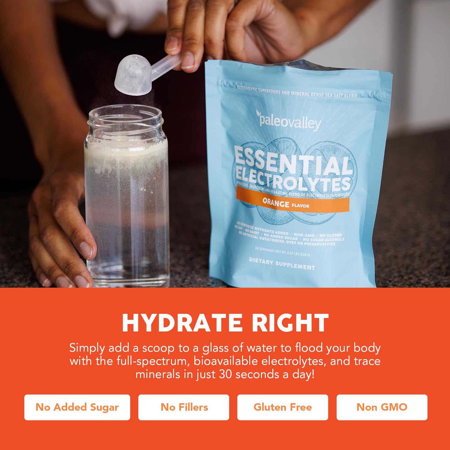 Paleovalley Essential Electrolytes Powder - Full Spectrum Orange Electrolyte Powder for Hydration, Energy and Muscle Recovery - No Sugar Added - 30 Servings PaleovalleyUS supplements