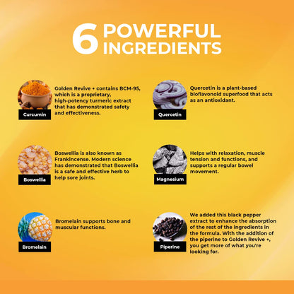 UpWellness Golden Revive + Joint Support with Quercetin, Magnesium, and Turmeric UpWellness Nutrient-Rich LivingUS supplements