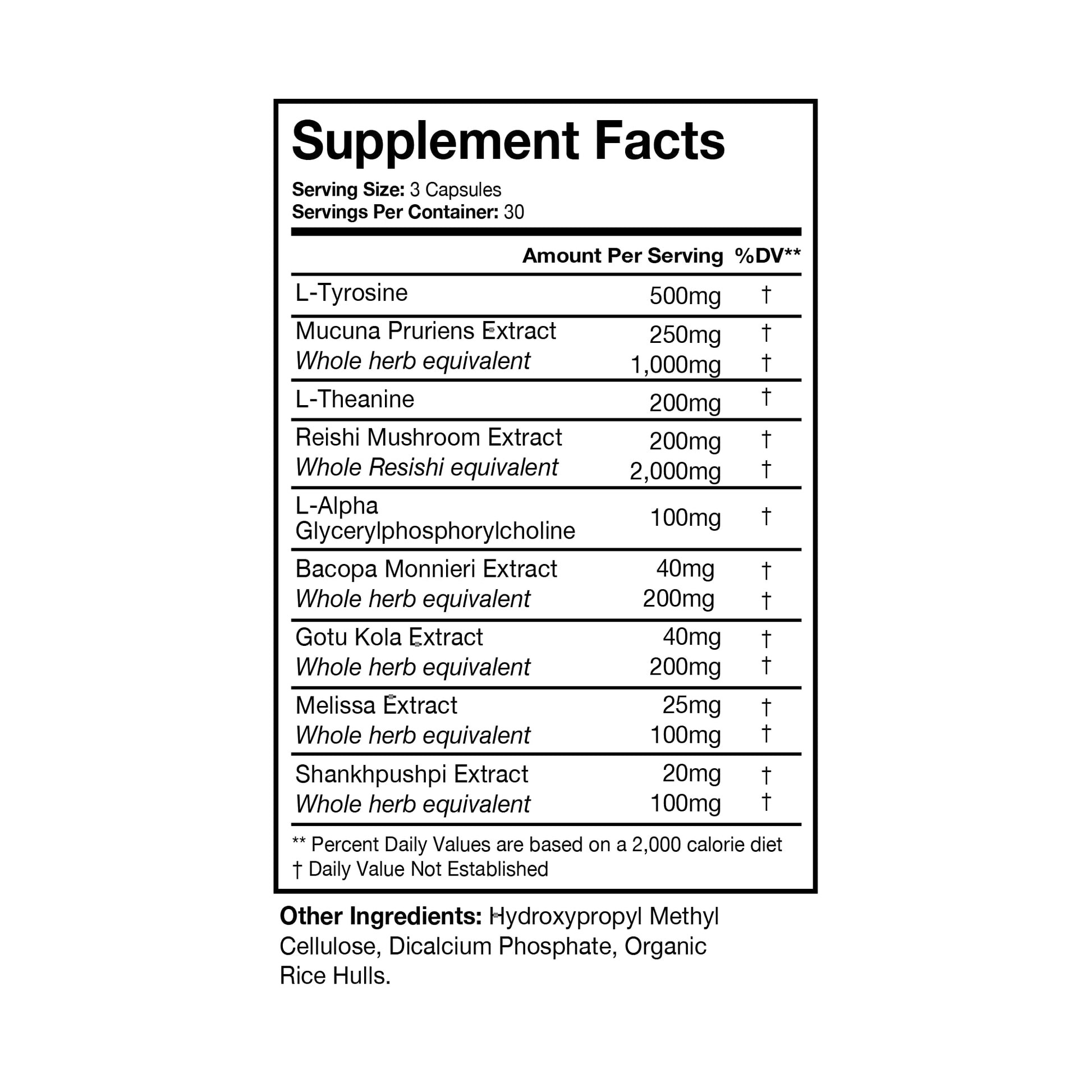 Terra Health Essentials NOOFOCUS - Nootropics Brain Support Supplement with Adaptogenic Mushrooms, Alpha-GPC, Gotu Kola, L-Theanine for Focus & Memory - All Natural, 30 Day Supply Terra Health EssentialsAu supplements