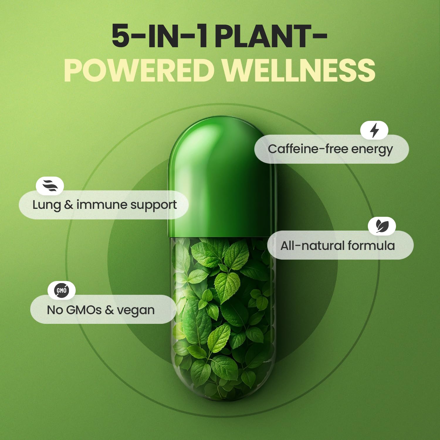 Moringa Capsules, Beet Root, Mullein Leaf - Energy, Skin, Immune Supplement Superfood, Rich in Antioxidants, Minerals & Essential Vitamins - High Absorption Non-GMO - Made in USA - 60ct VitamaxAu supplements