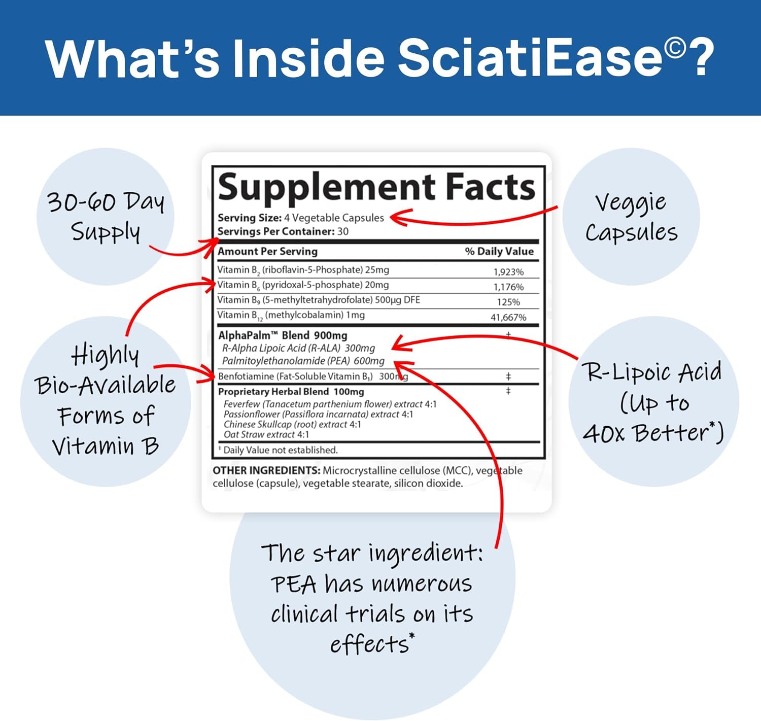 SciatiEase Sciatic Nerve Health Support Sciatic Nerve Supplement SciatiEaseUS supplements