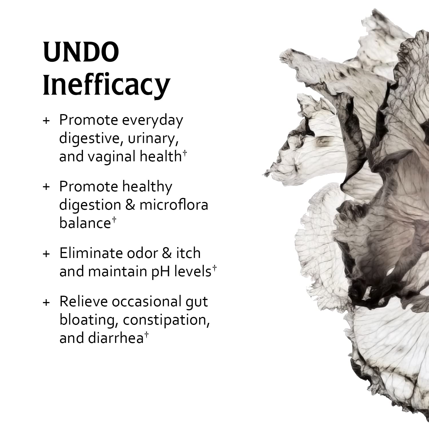 Undone By Nature Probiotic for Women, 50 Billion CFU Women's Probiotics with Prebiotics Undone By NatureAu supplements