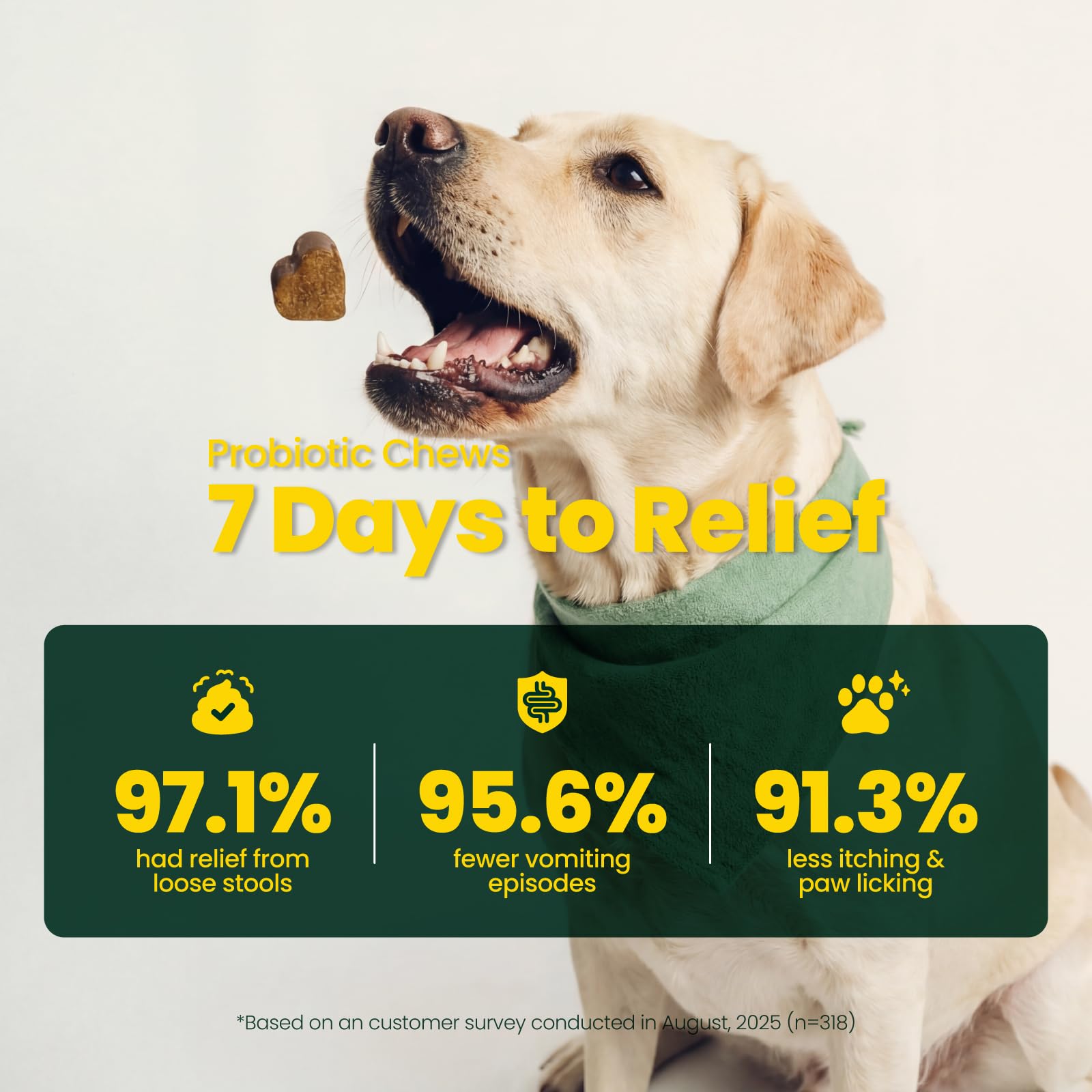 Boops Pets Probiotics for Dogs – 30 Billion CFU with Pre, Postbiotics & Digestive Enzymes – Supports Gut Health, Immunity, Loose Stools & Allergies – Filet Mignon Flavor – Vet Formulated – 60 Chews Boops PetsAu supplements