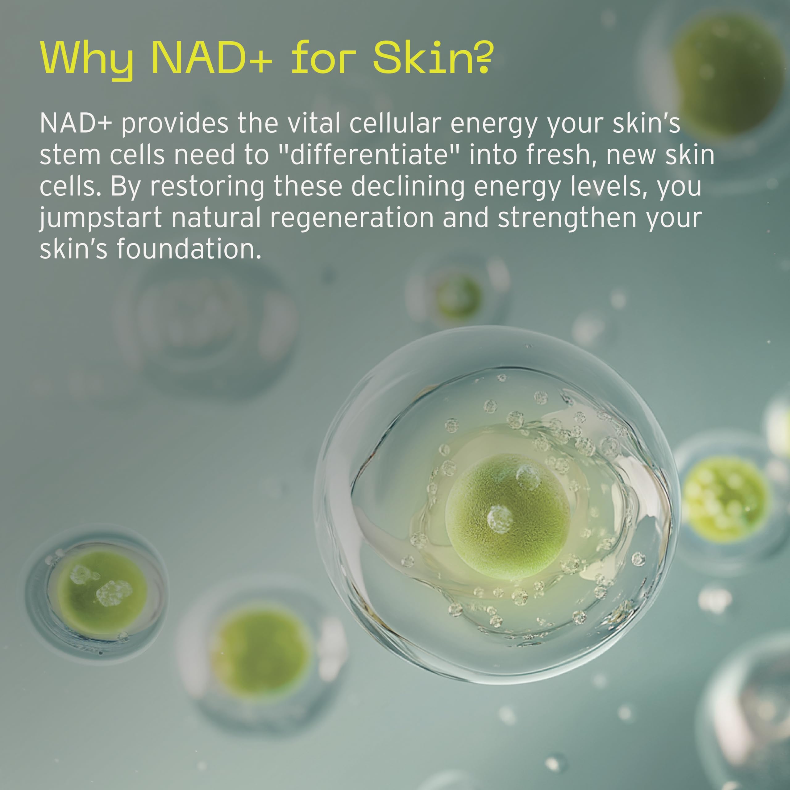 Aramore NAD+ Cell Energizing Skin Care Treatment with Proprietary NAD+ Precursor Complex, Clinically Proven to Target 12 Signs of Aging - 15ml AramoreAu supplements