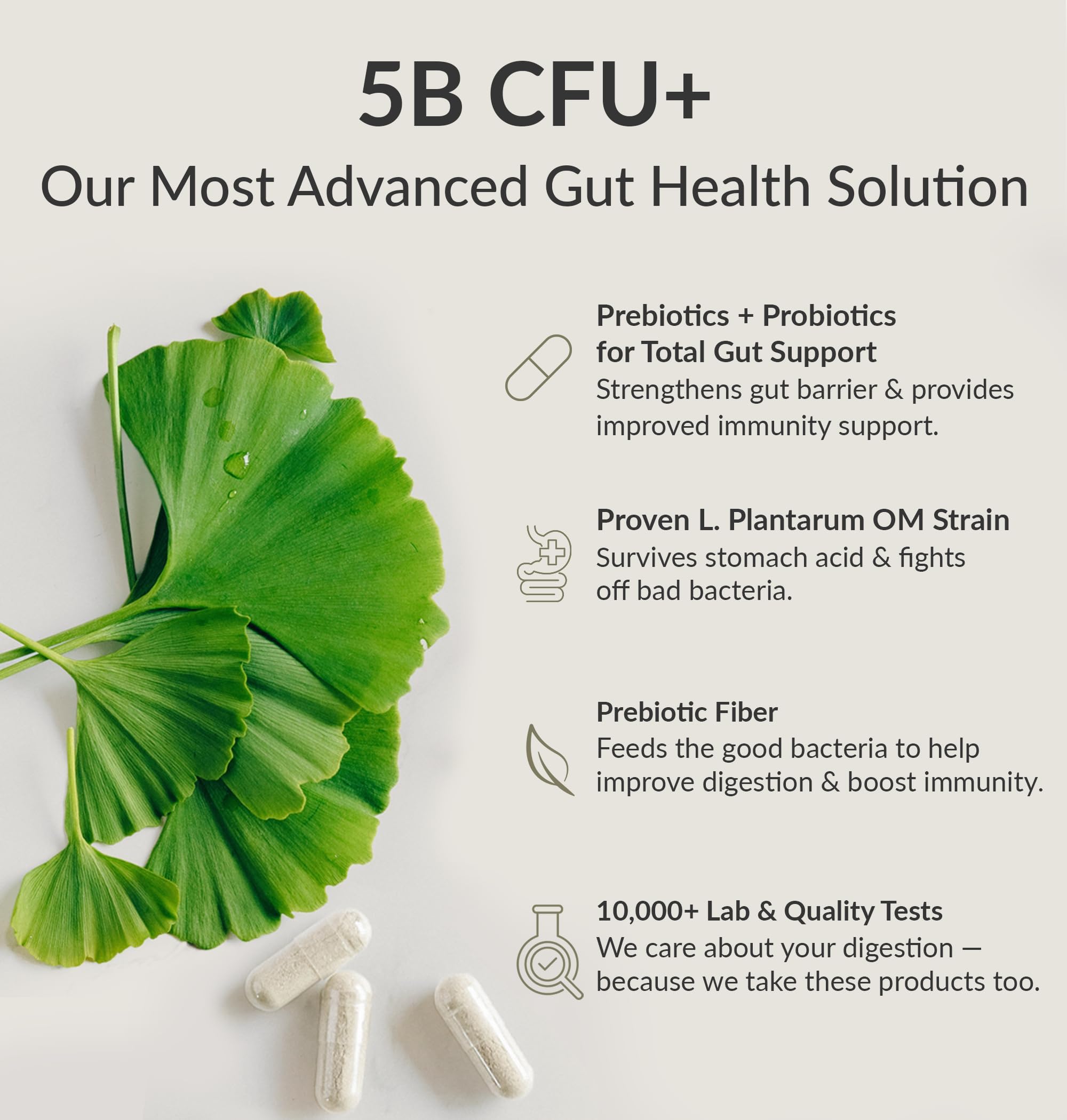 BIOptimizers Probiotic Breakthrough – Lactobacillus Plantarum OM Probiotics & Prebiotics Health Supplement for Gut, Digestive & Immune Support Probiotics for Women Men Elderly– 30 Vegan Capsules BIOptimizersAu supplements