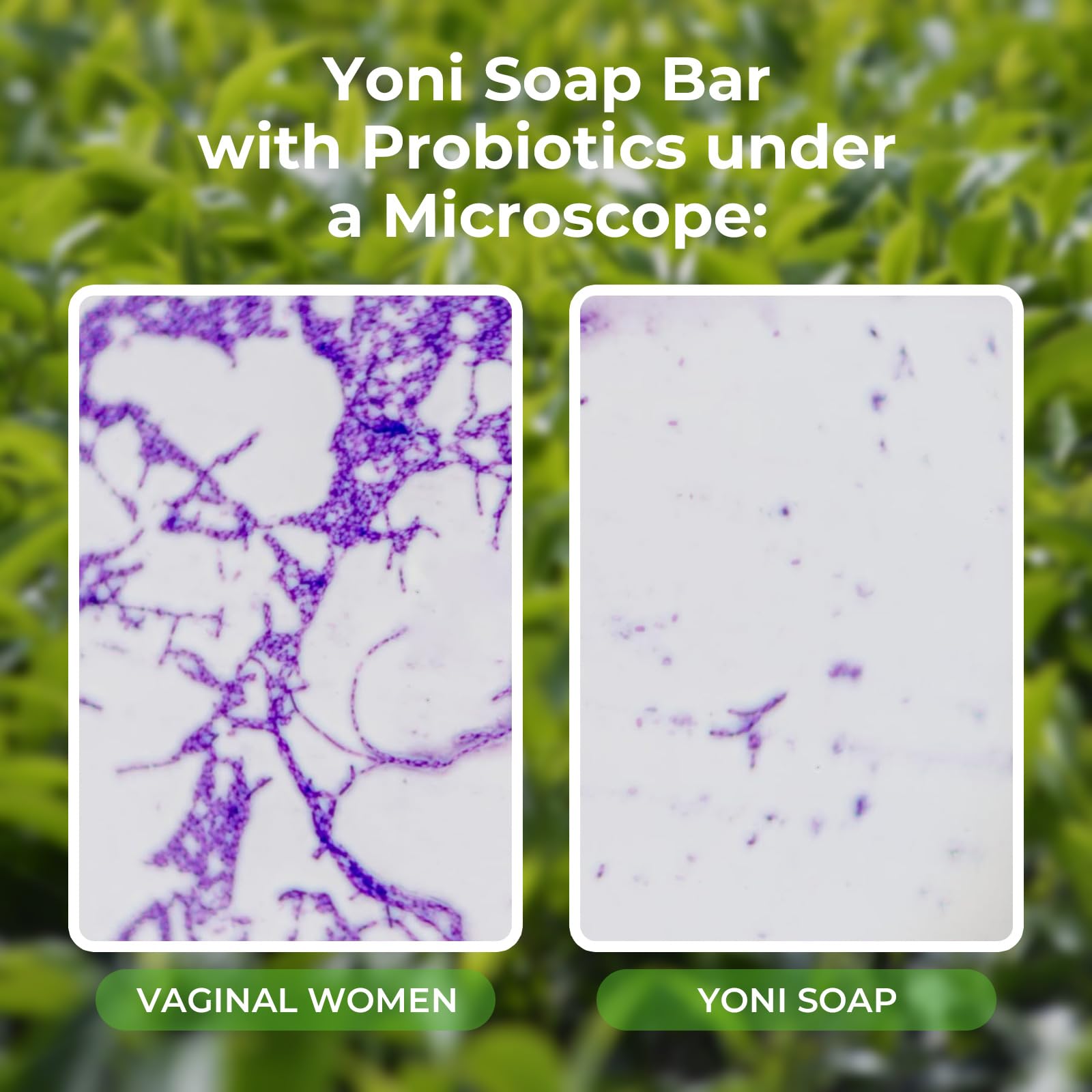 Feminine Wash & Yoni Oil & Yoni Soap Tea Tree Set for Women, Yoni Wash for Vaginal Ph Balance Remove BASSIAu supplements