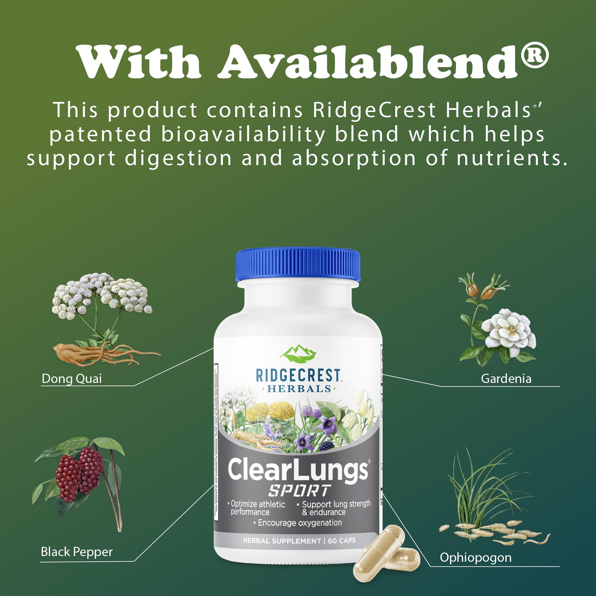 Ridgecrest Herbals ClearLungs Sport, Oxygen Intake and Lung Support Formula with Cordyceps, Rhodiola, Eleuthero (60 Vegan Caps, 30 Serv) RidgeCrest HerbalsAu supplements