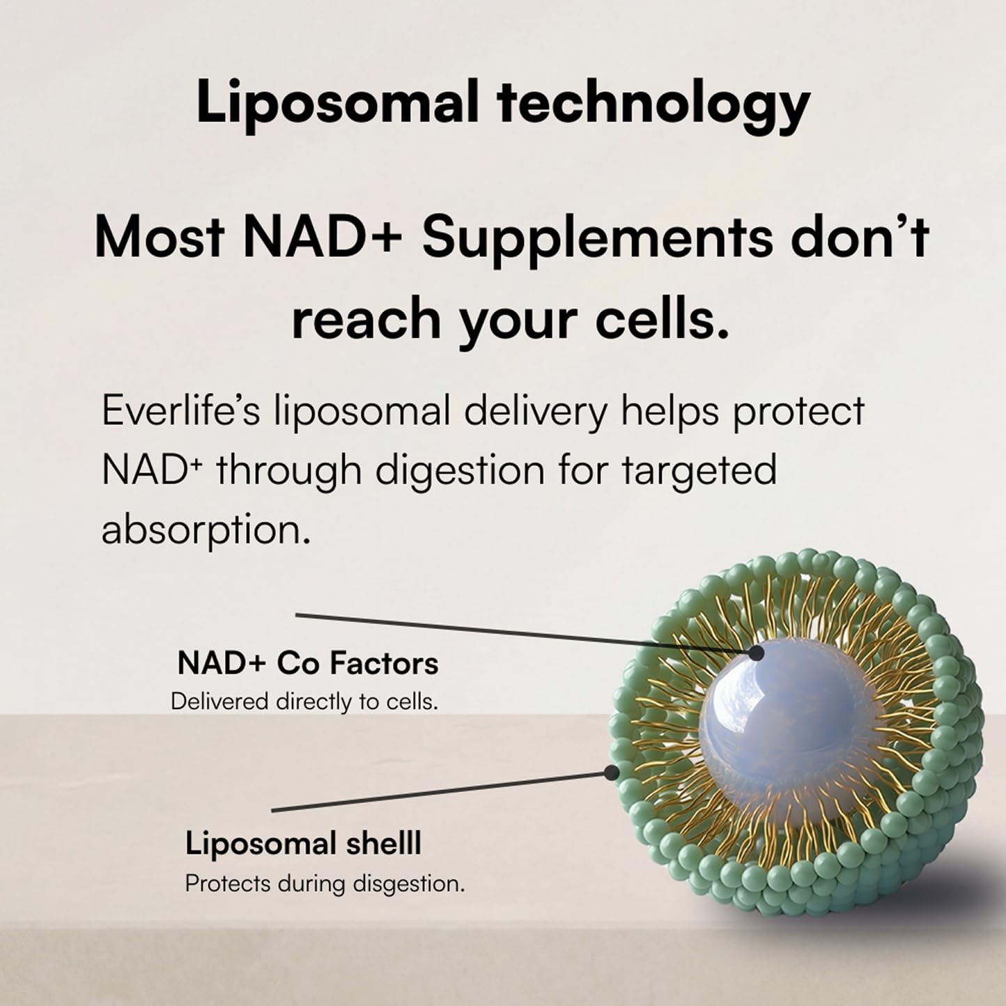 Everlife Liposomal NAD+ Liquid Supplement – 150mg Shot with Liposomal Trans-Resveratrol, TMG & Glycine – Boosts Energy, Cellular Repair, Healthy Aging & Longevity – NMNH Alternative – 30 Servings EverlifeAu supplements