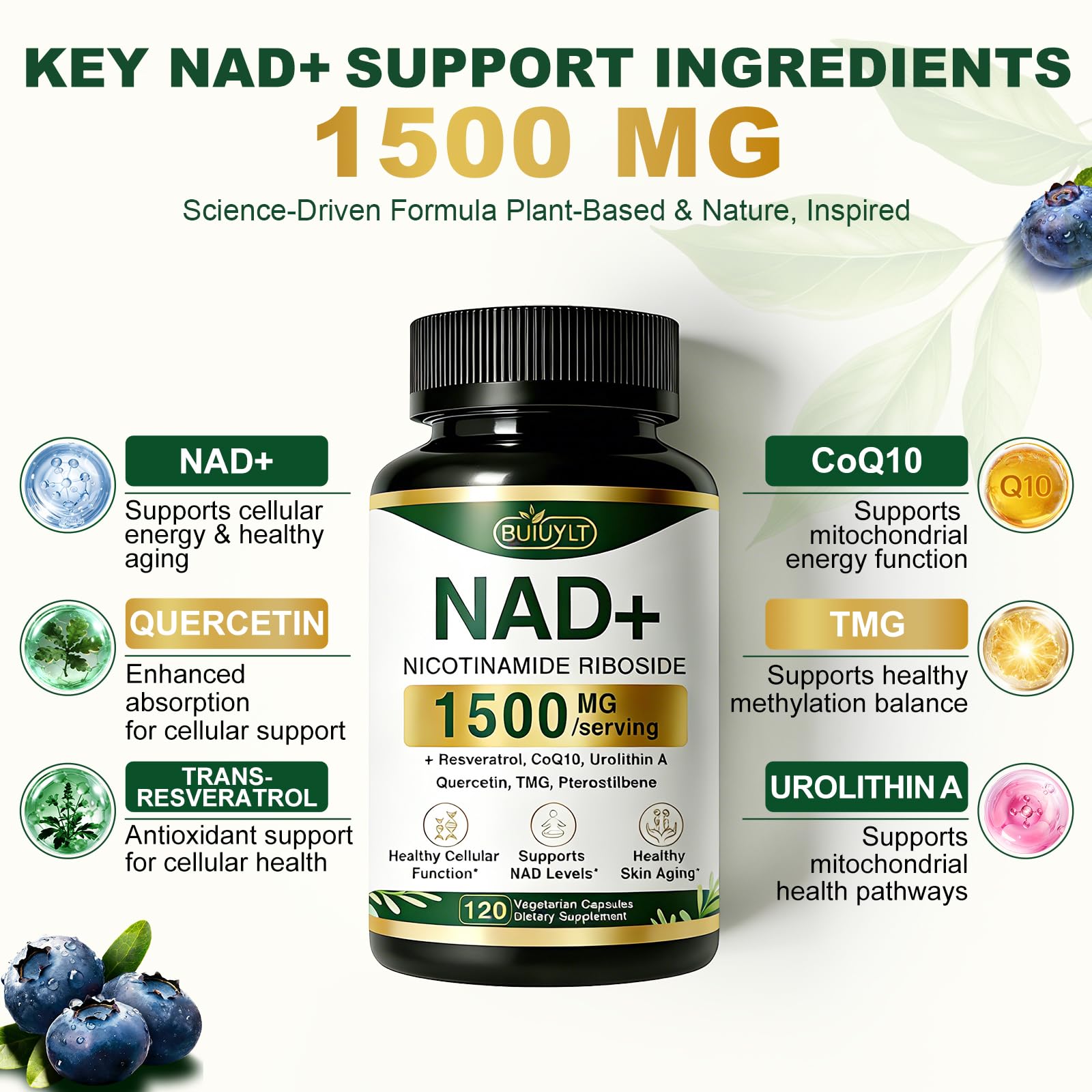 BUIUYLT NAD+ Supplement 1500mg, NR NMN Replacement with Resveratrol, Urolithin A, CoQ10 & Quercetin for Cellular Energy, Healthy Aging & Stamina for Women & Men - 120 Capsules BUIUYLTAu supplements