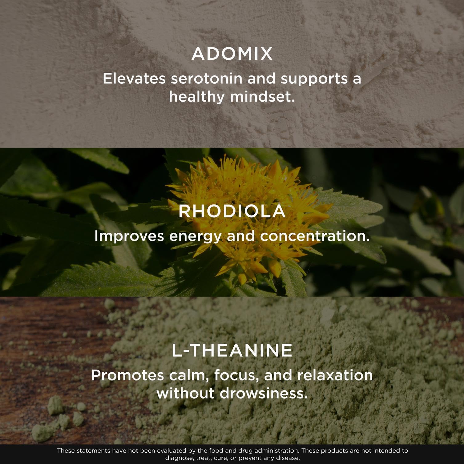 Genius Joy, Nootropic Mood Enhancer Supplement - Support Cognitive Health, Enhance Mood & Neural Function with Brain Boosting L-Theanine, Panax Ginseng & SAM-e - Organic, Non-GMO, & Gluten-Free The Genius BrandUS supplements